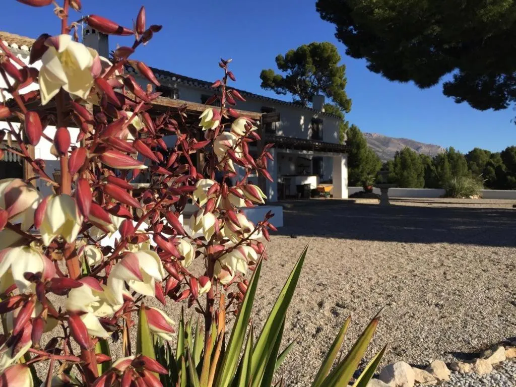 B&B Cortijo El Ciruelo