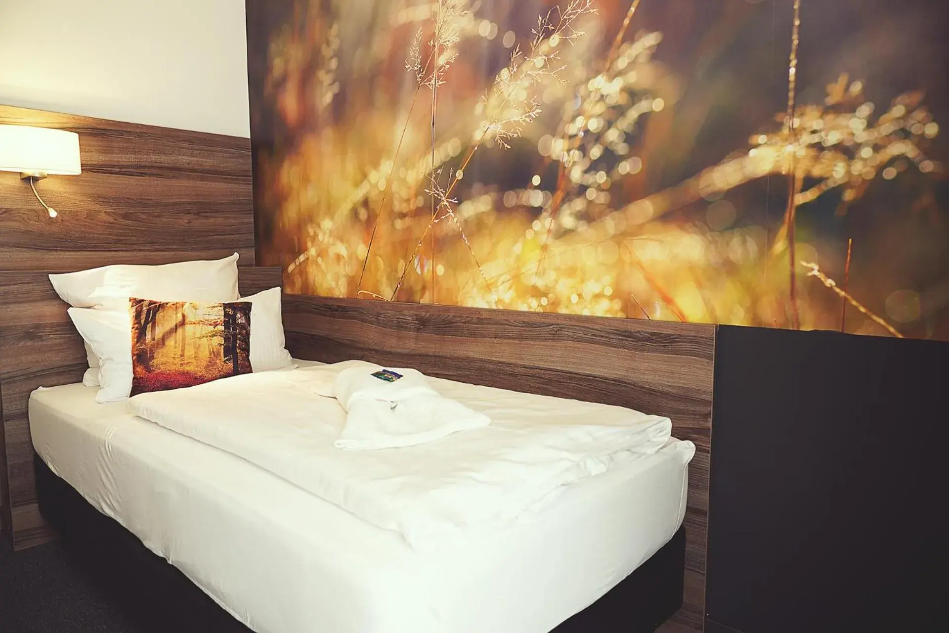 Single Room - single occupancy in Hotel Mein Bergblick Single Room - single occupancy in Hotel Mein Bergblick