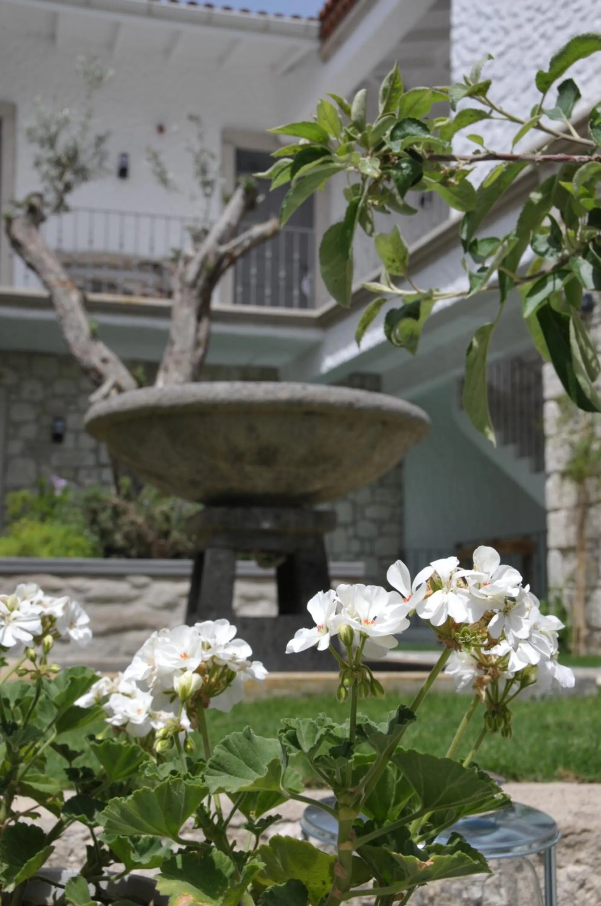 Garden in Alaçatı Ala Hotel - Special Category