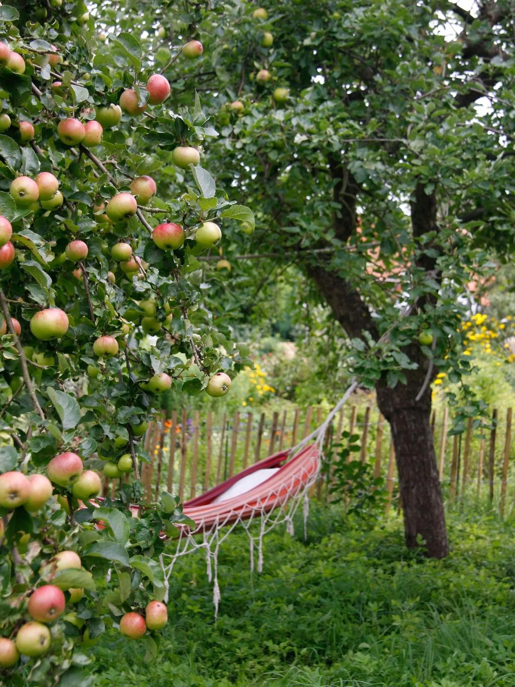 Garden in Hotel Lili Marleen