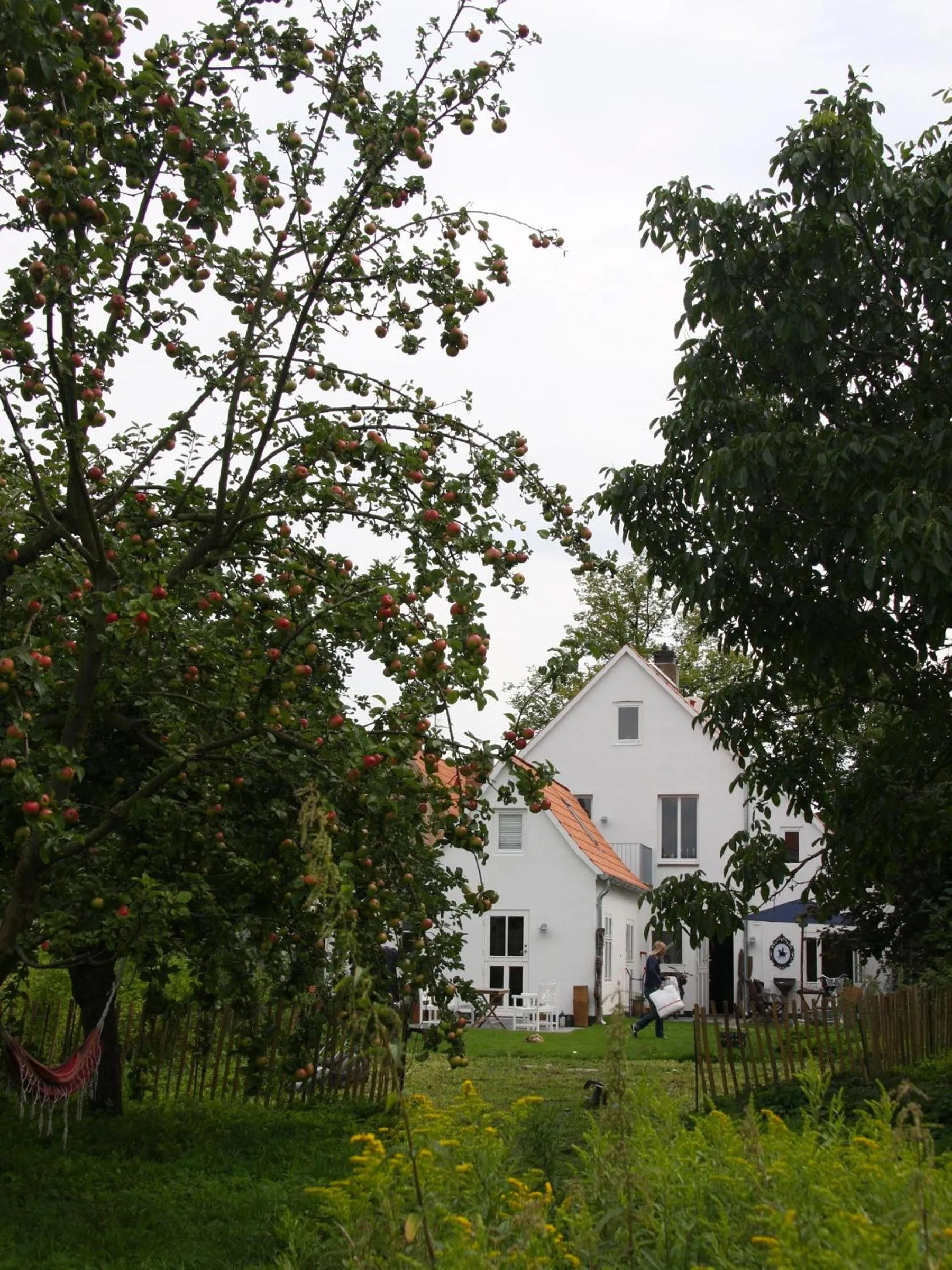 Garden in Hotel Lili Marleen