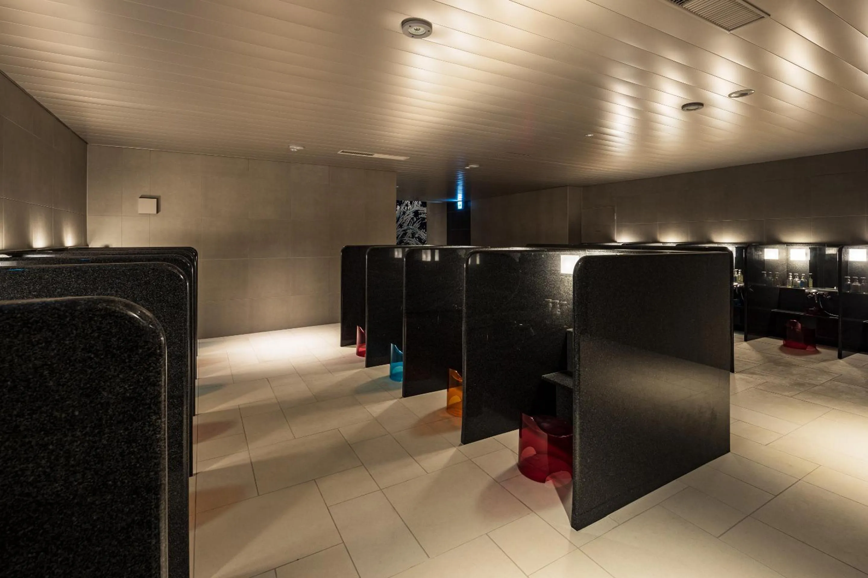 Public Bath in Tokyo Bay Shiomi Prince Hotel