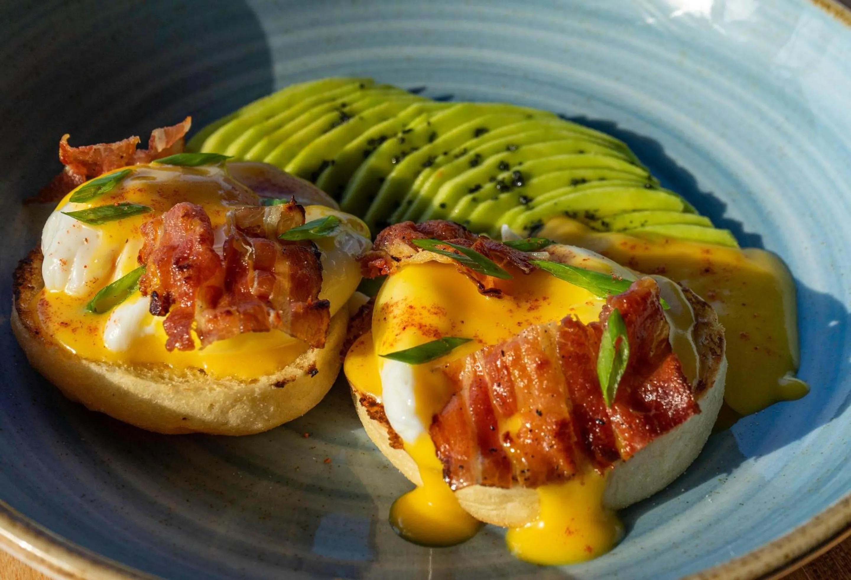 Restaurant/places to eat in Socialtel Palomino