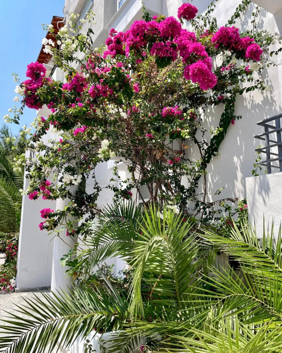 Property building in RIX Apartments