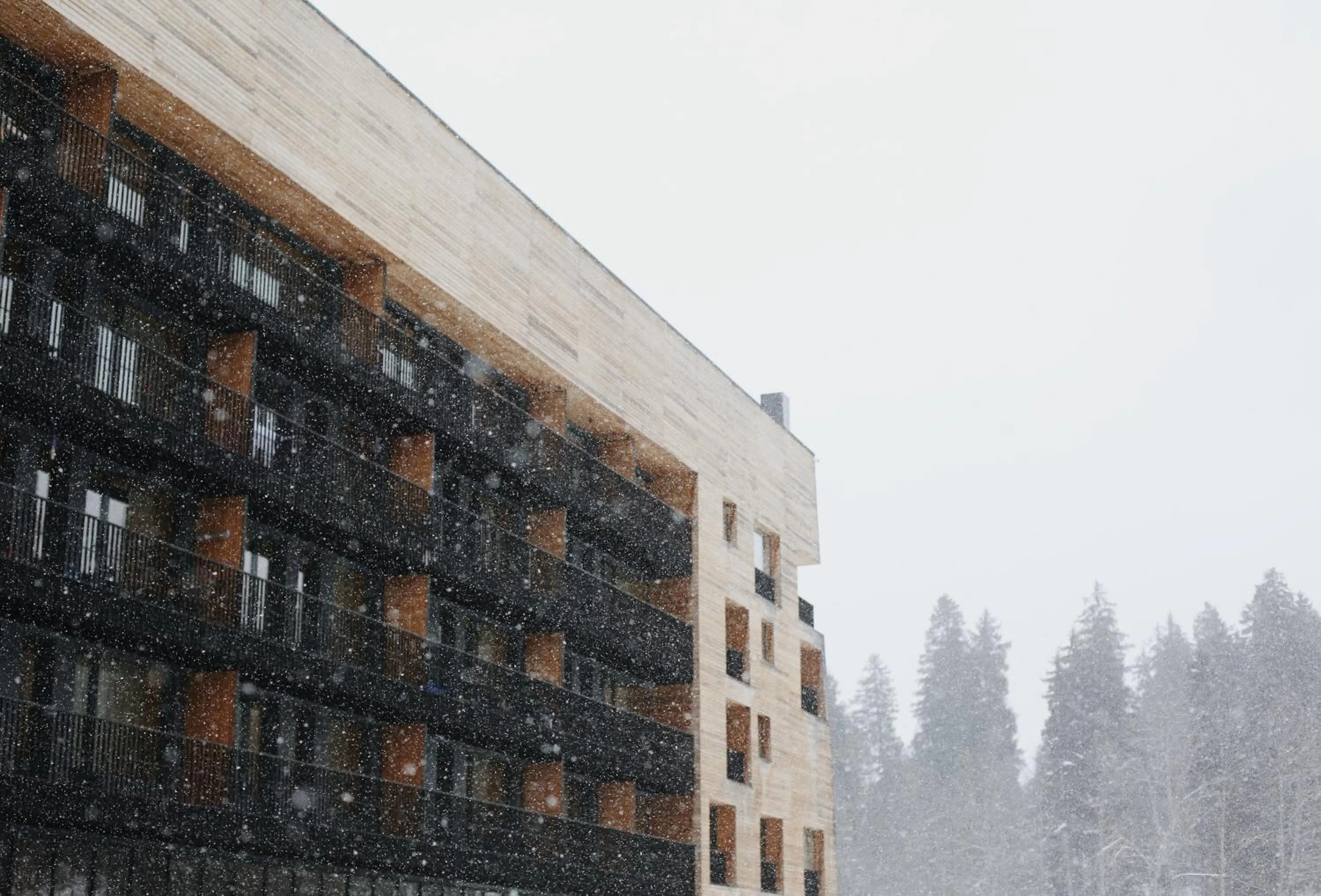 Property building in Kokhta Bakuriani