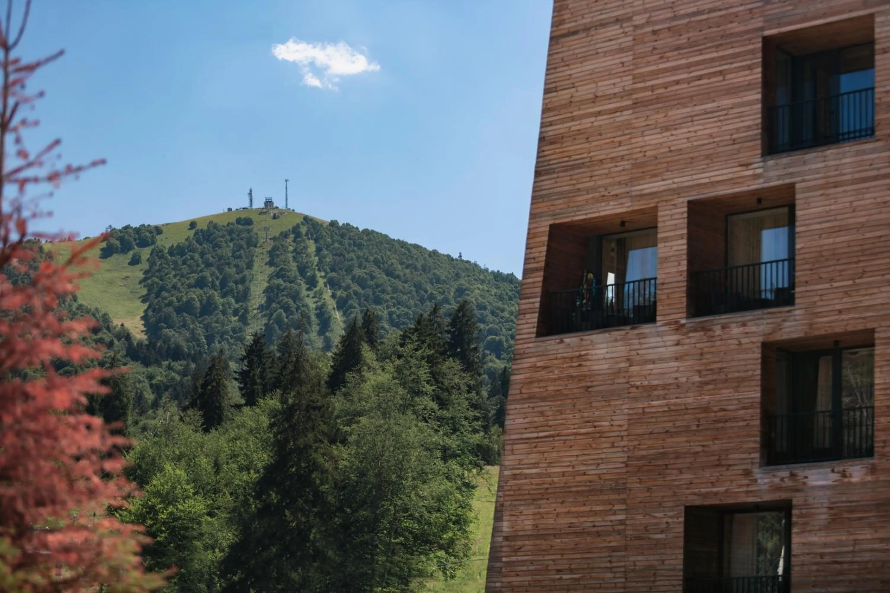 Facade/entrance in Kokhta Bakuriani