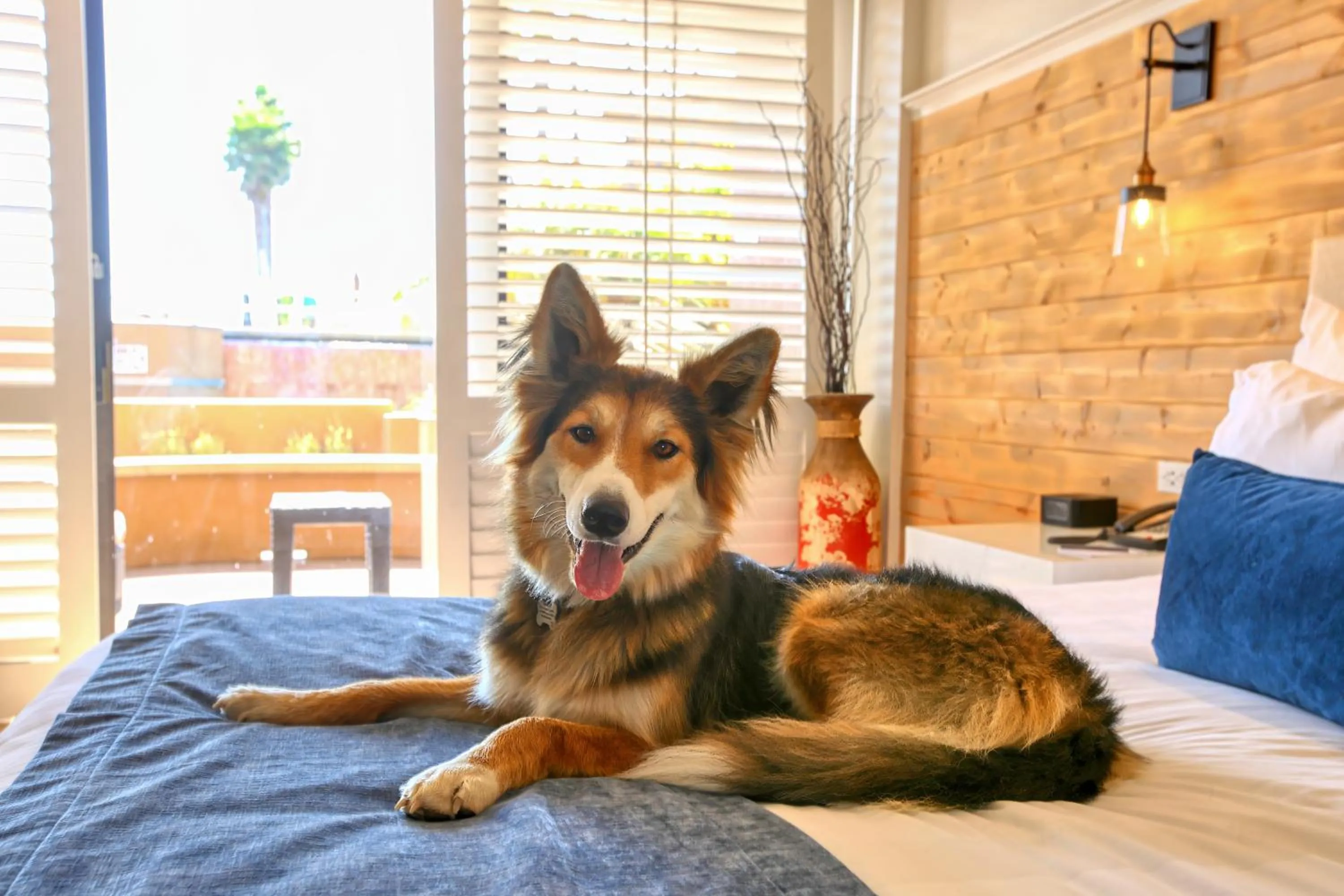 The Cliffs Hotel and Spa