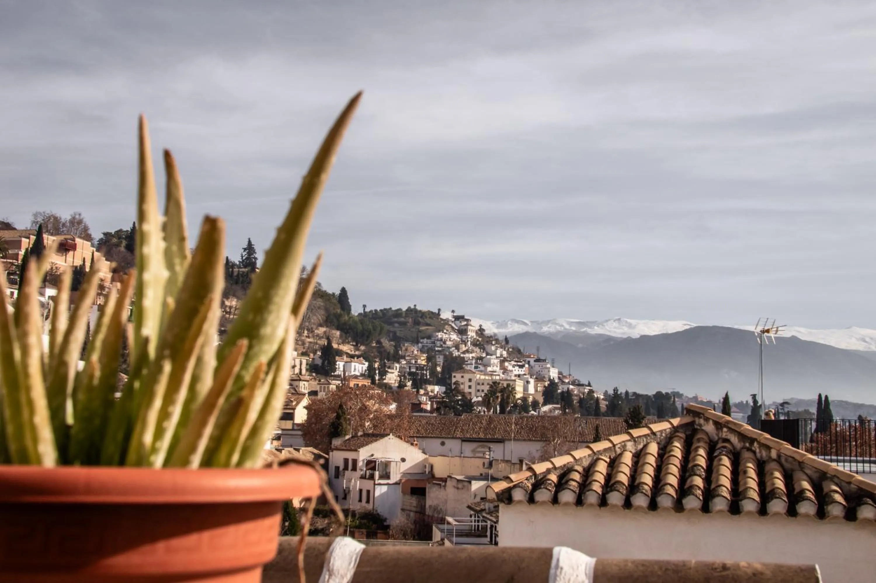 Balcony/Terrace in Rooms Vita
