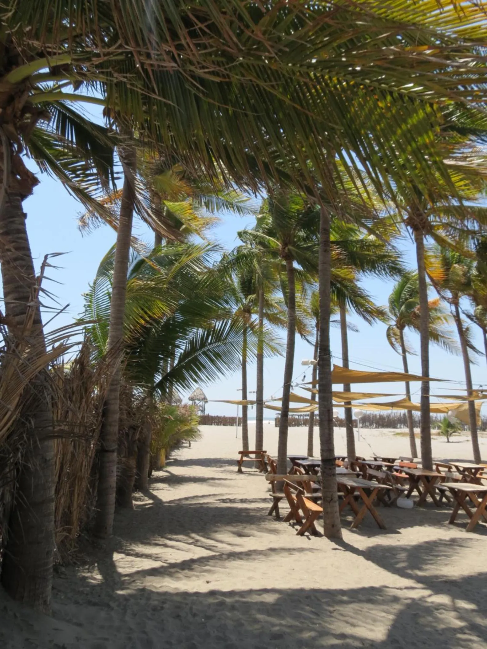 Beach in Hotel Bahia del Sol