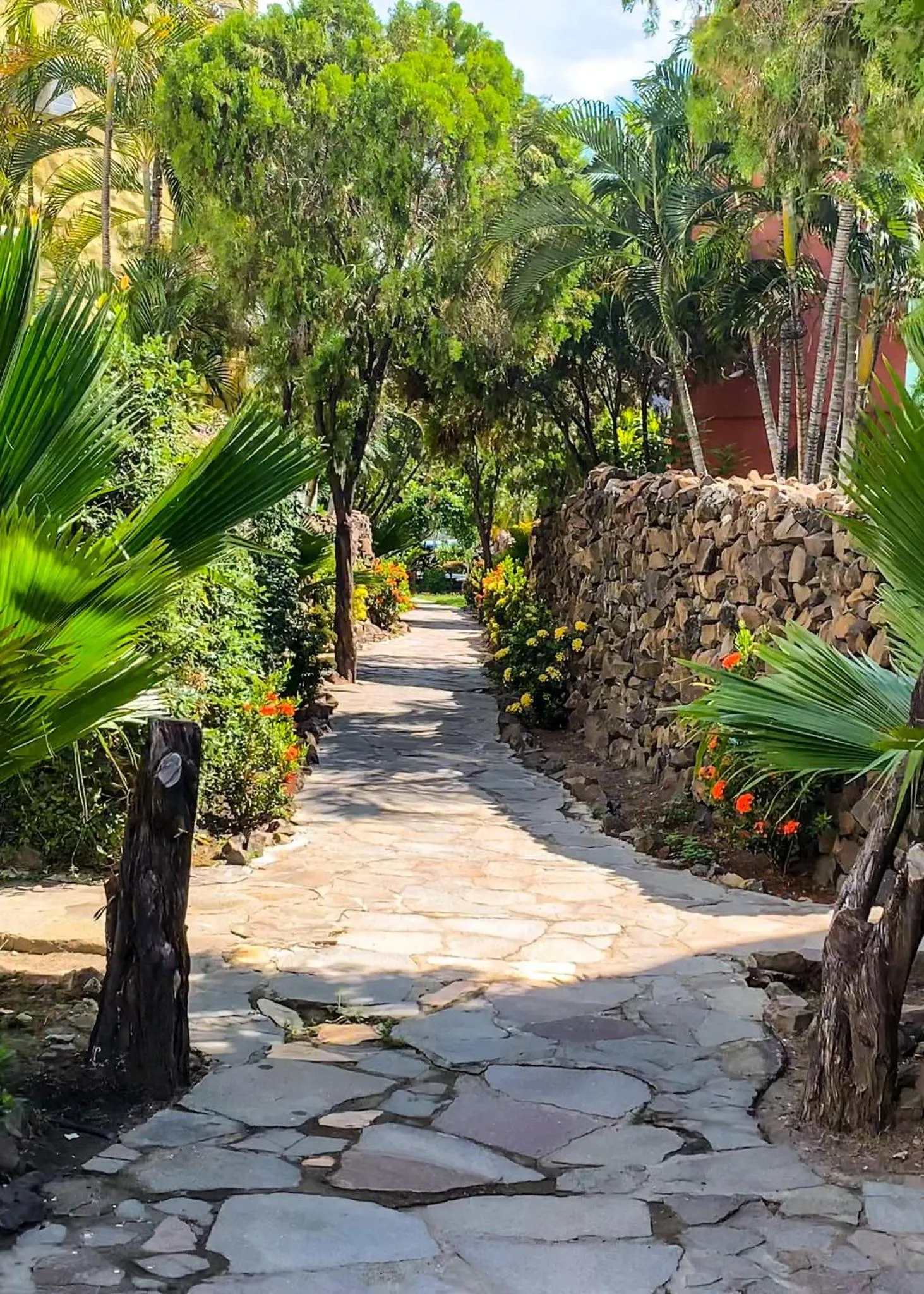 Spring in Hotel Bahia del Sol