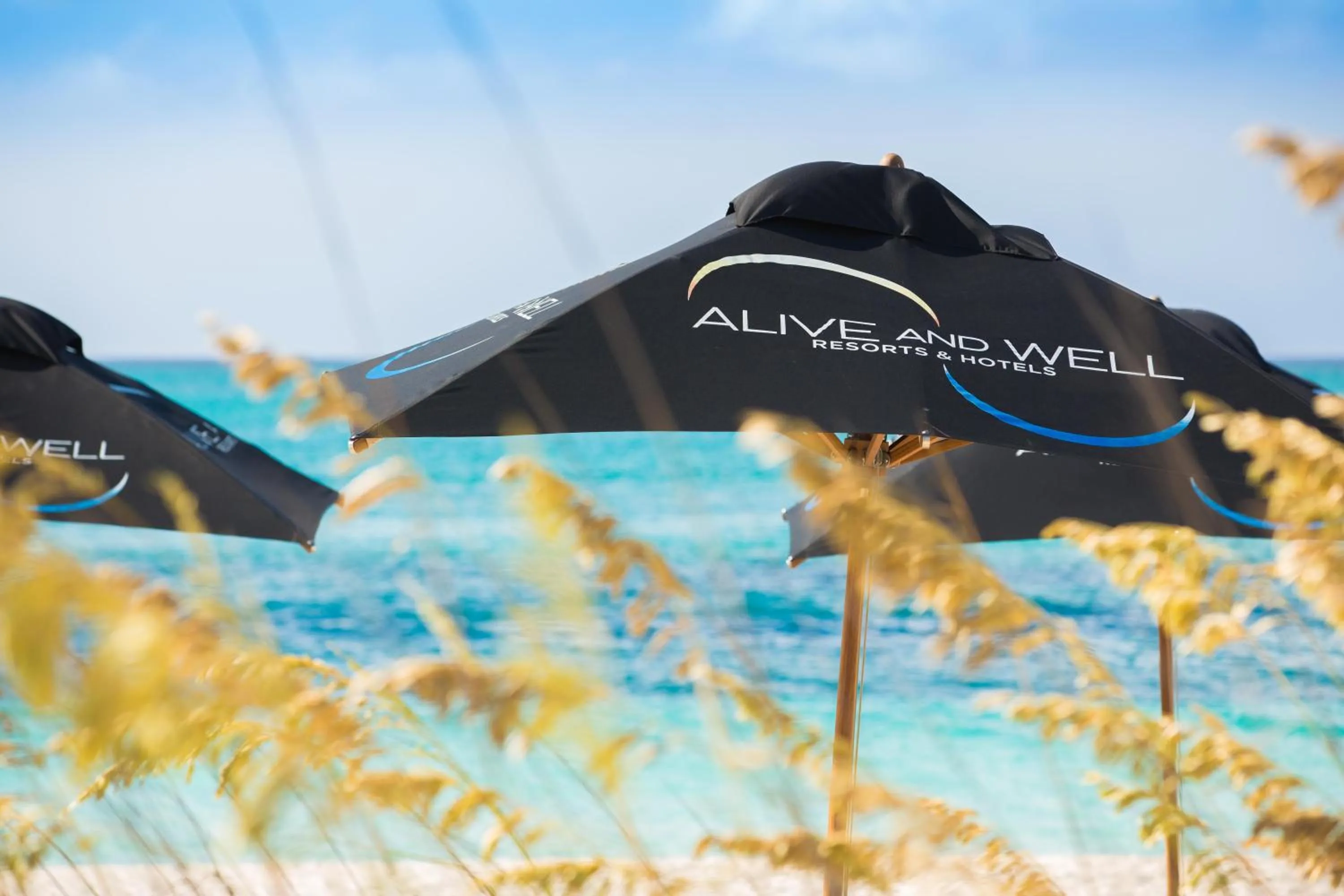 Beach in Kokomo Botanical Resort - Caribbean Family Cottages