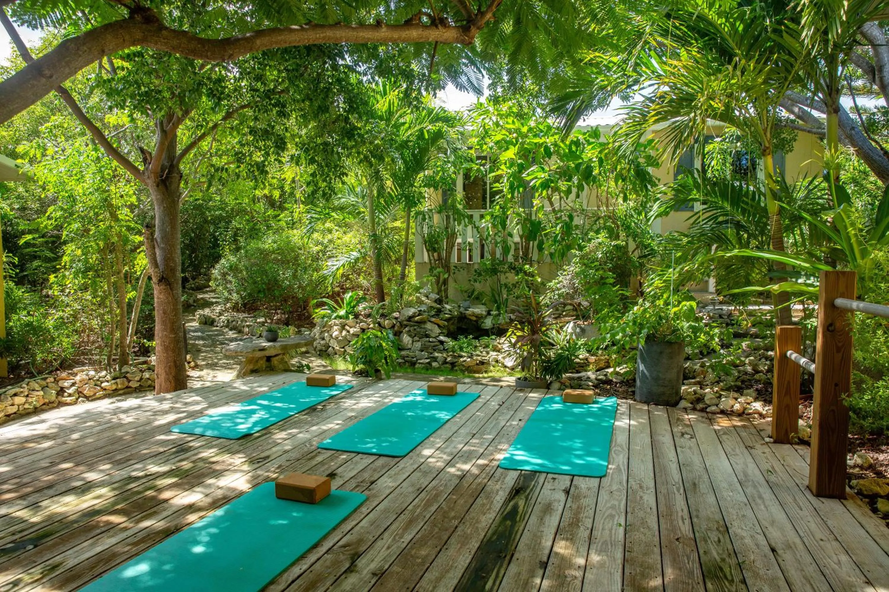 Activities in Kokomo Botanical Resort - Caribbean Family Cottages