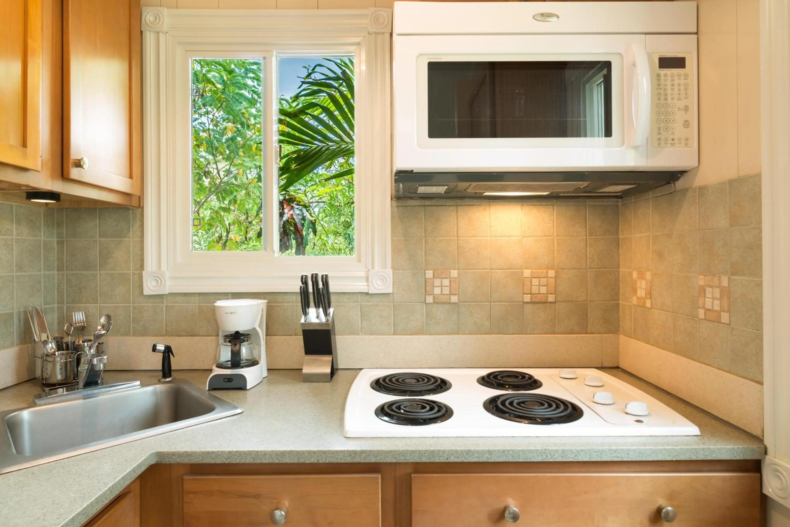 Kitchen or kitchenette in Kokomo Botanical Resort - Caribbean Family Cottages