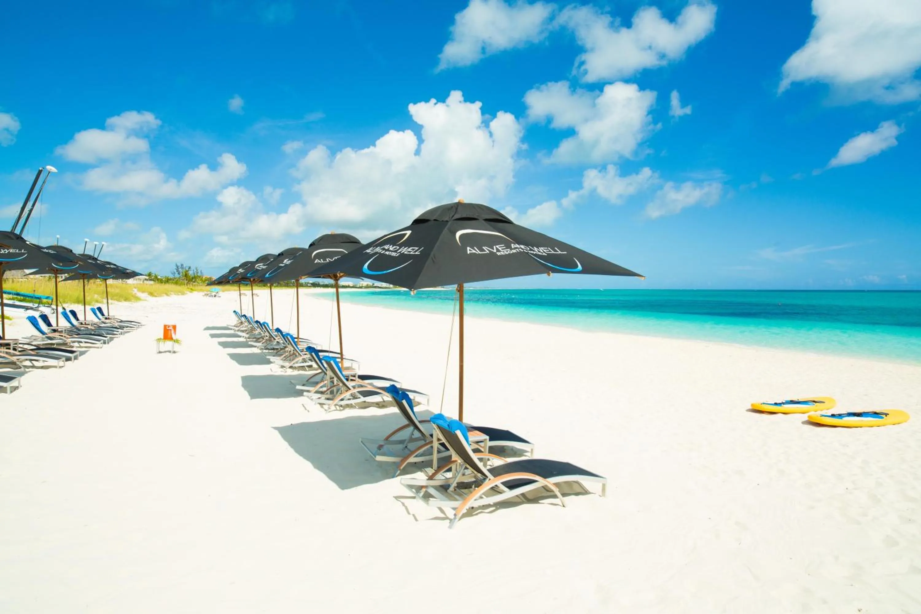 Beach in Kokomo Botanical Resort - Caribbean Family Cottages