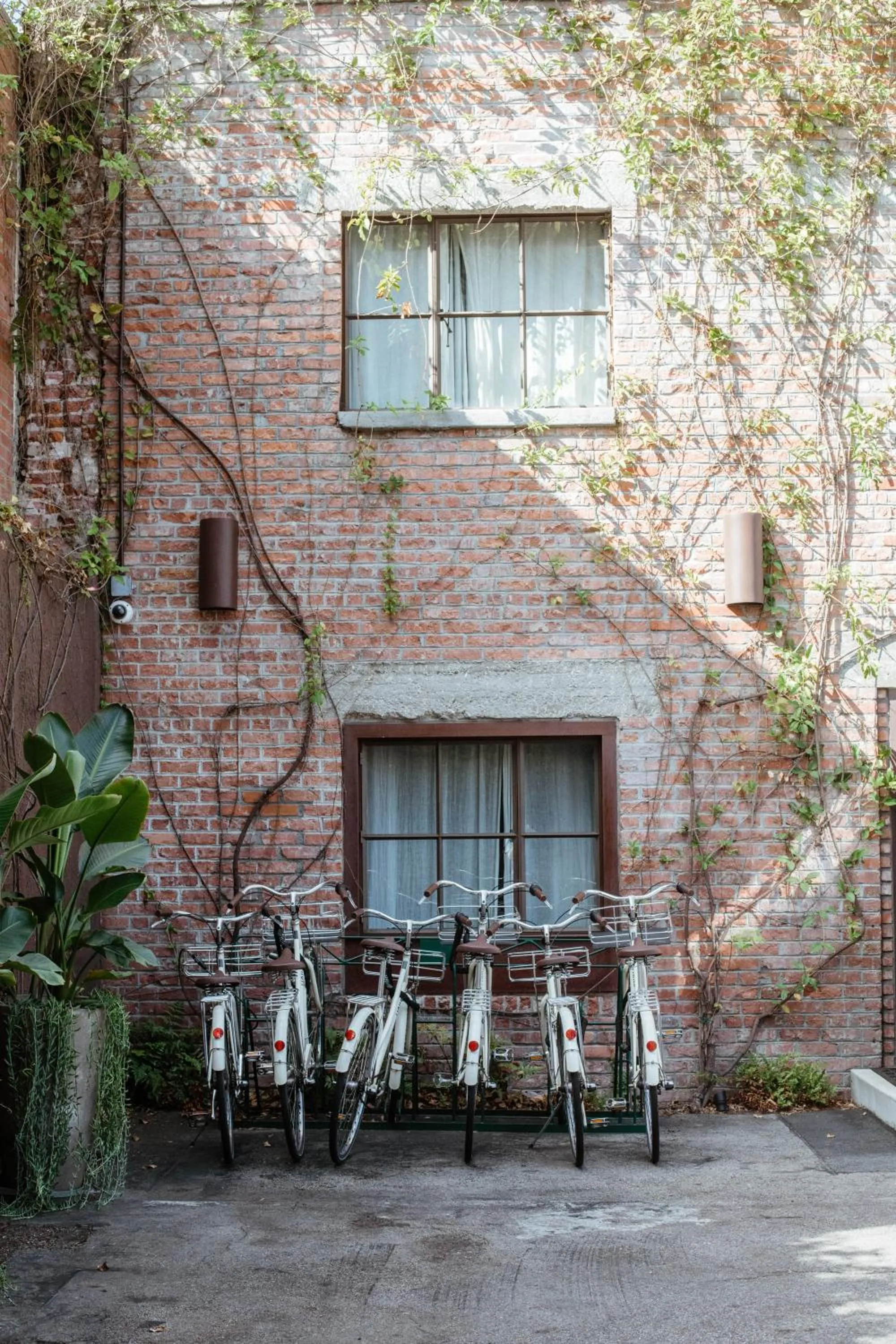 Cycling in Granada Hotel & Bistro