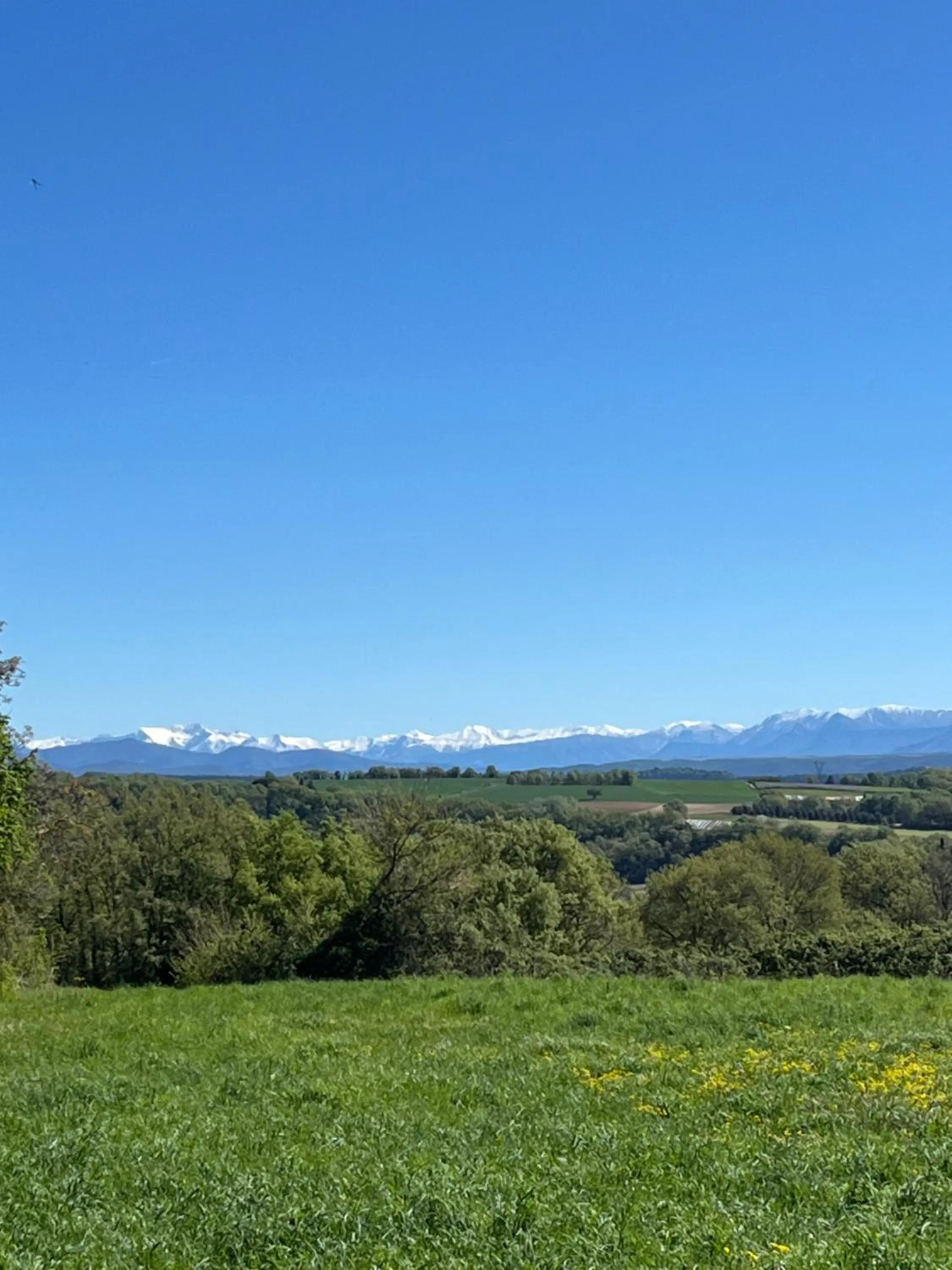 La Bastide Saint Georges & Spa