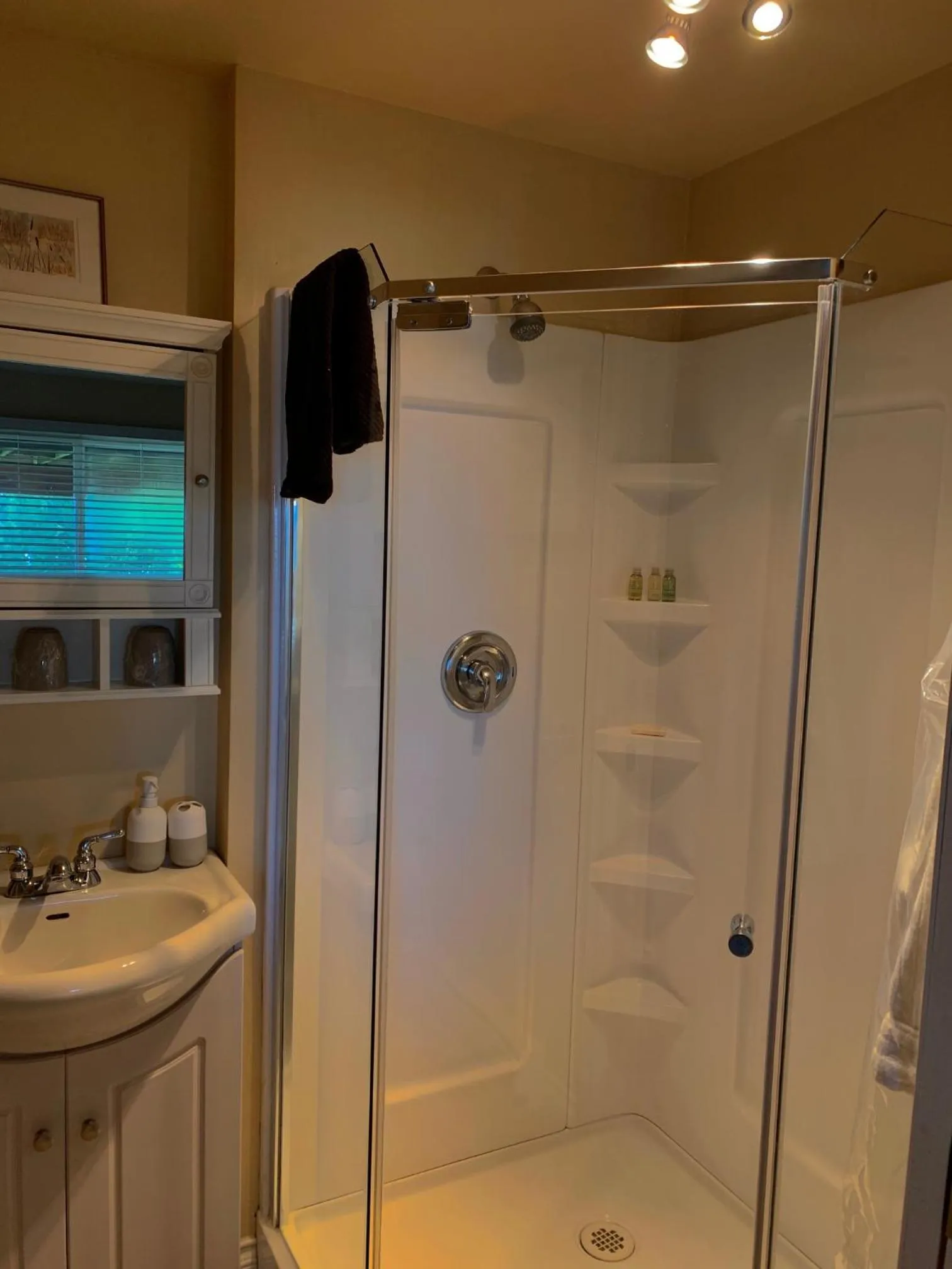 Shower in The Fraser River's Edge B&B Lodge