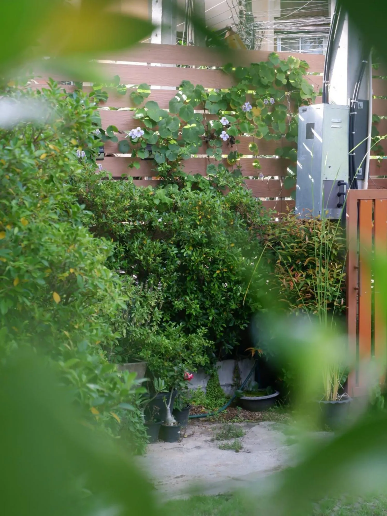 Garden in Airport A1 Hotel
