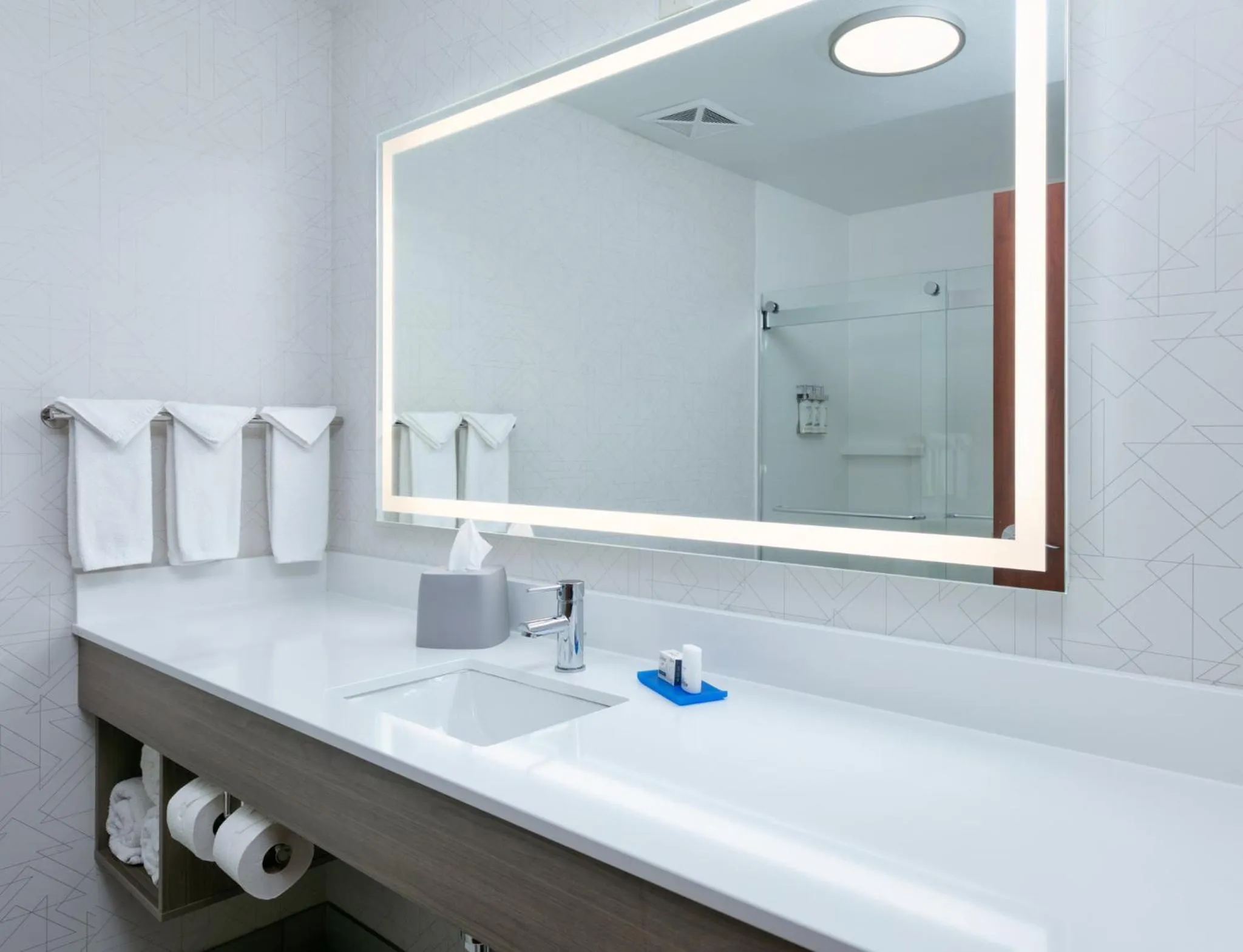 Bathroom in Holiday Inn Express Hotel & Suites Shakopee by IHG