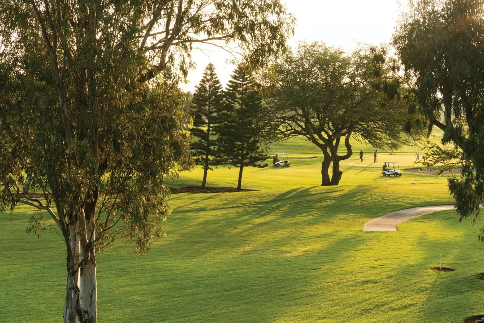 Other in Paniolo Greens Resort