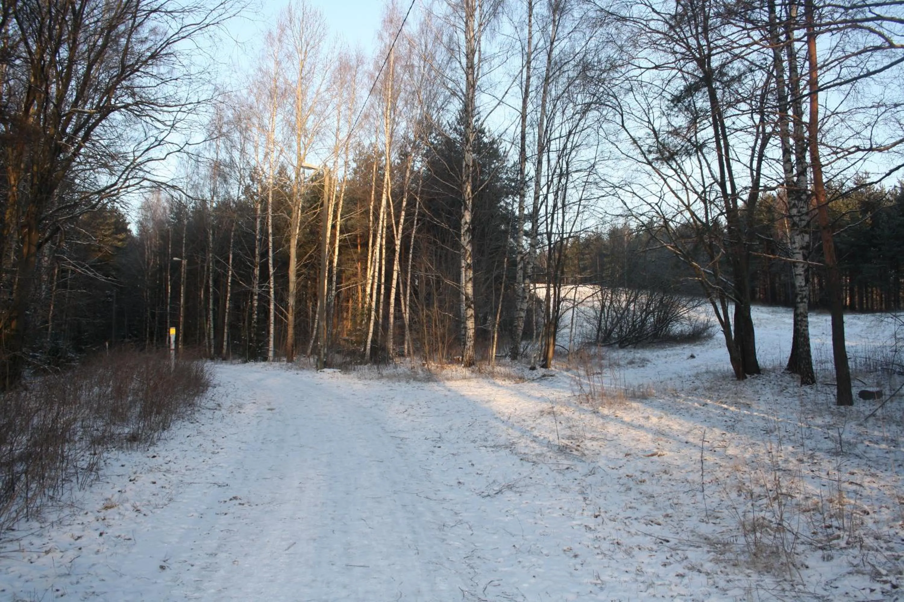 Area and facilities in Arkadia Hotel & Hostel