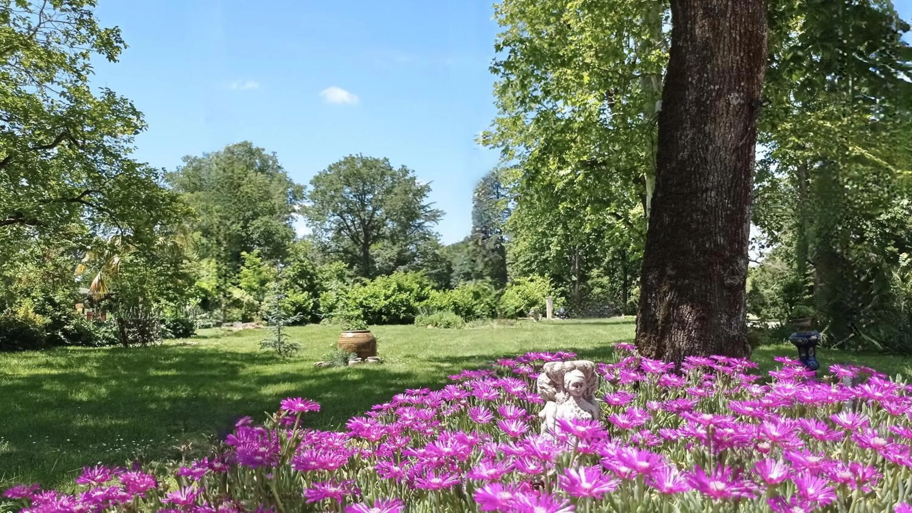 Garden in Domaine de Rasigous