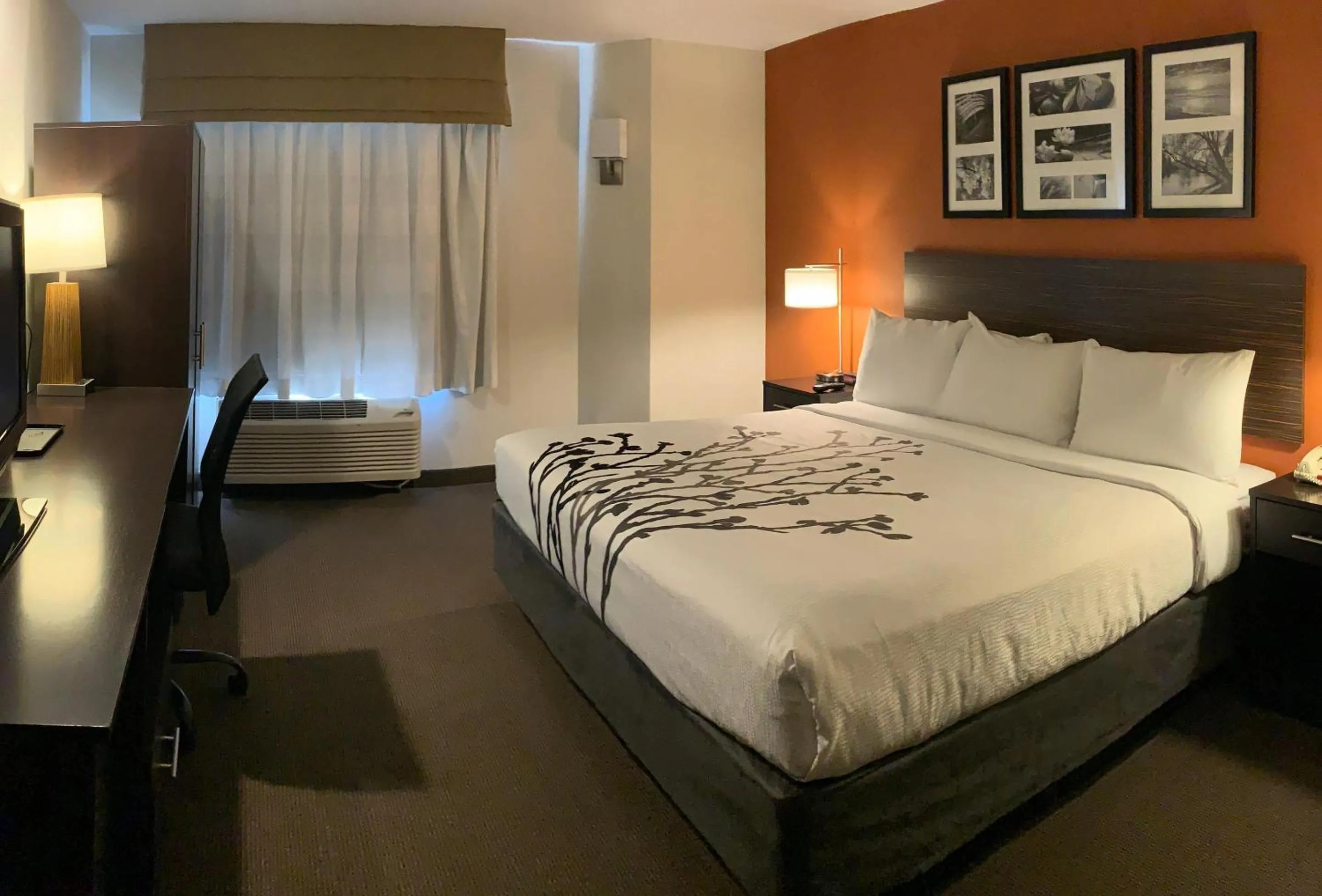 Bedroom, Bed in Sleep Inn Phoenix North I-17