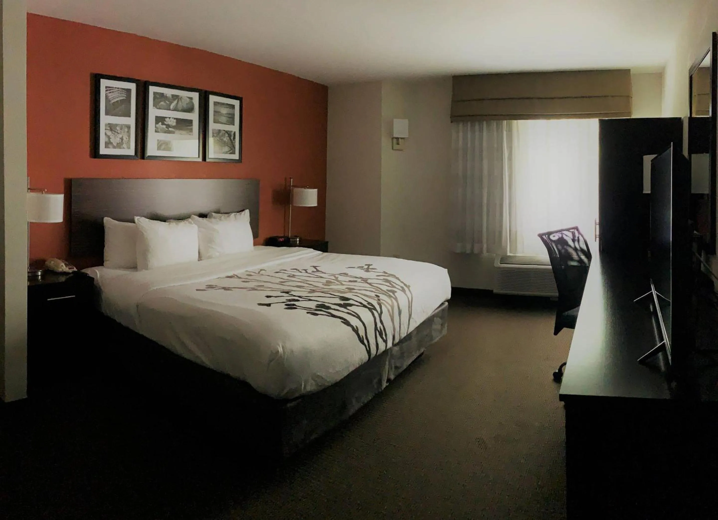 Bedroom, Bed in Sleep Inn Phoenix North I-17