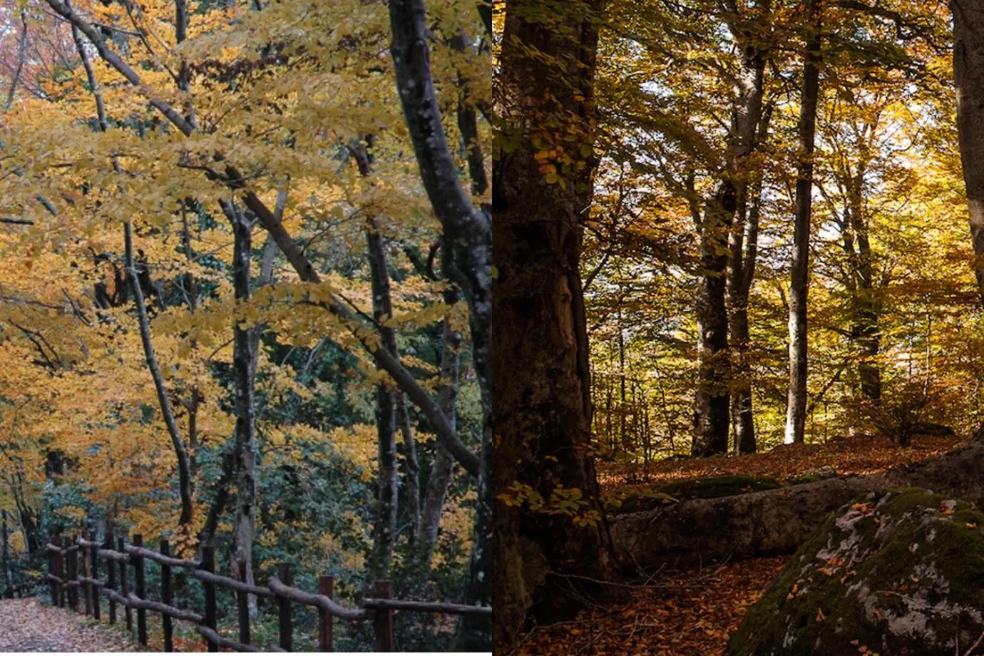 Area and facilities in Le casette di Frà al Bondì