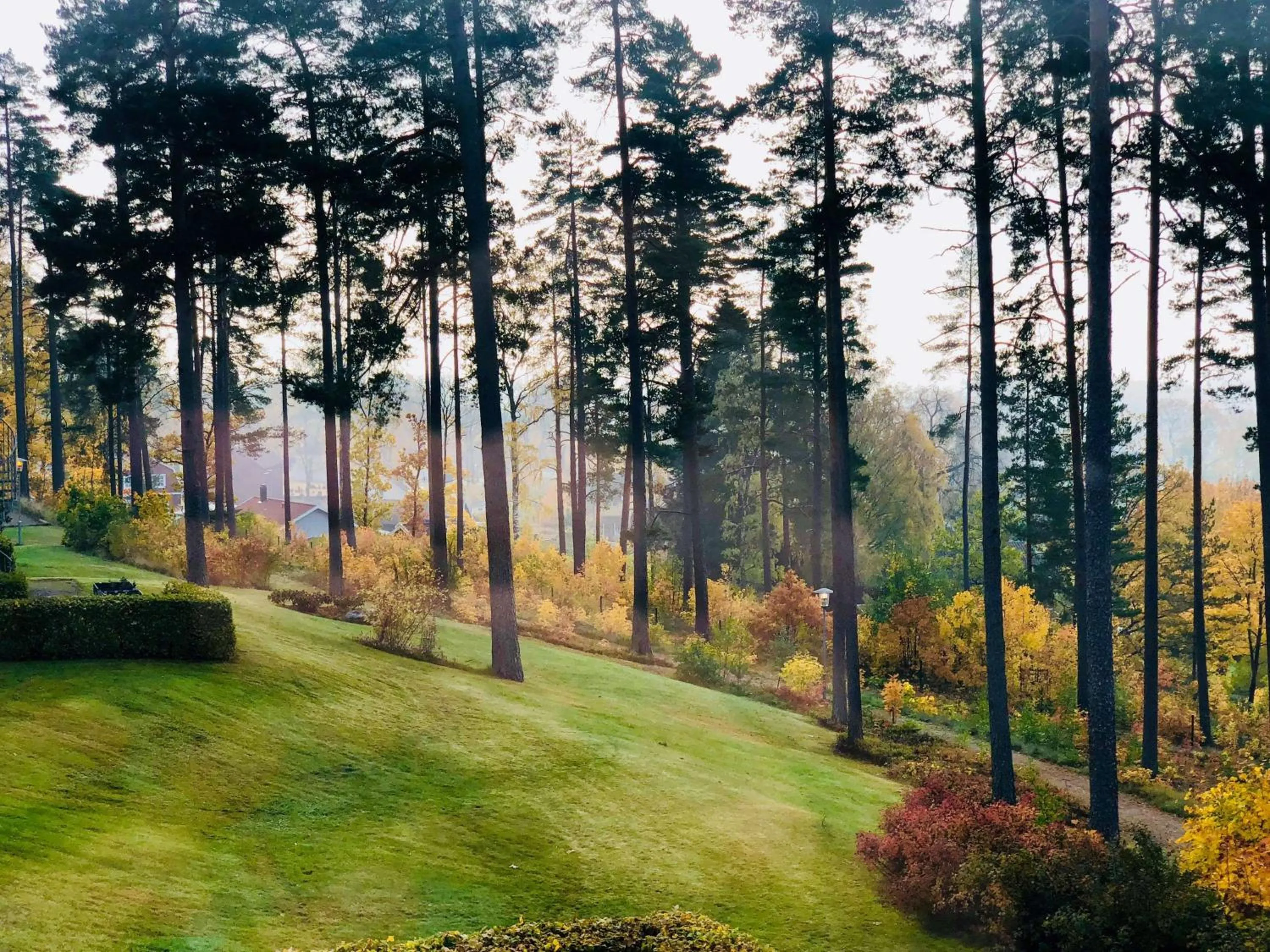 Other in Hotel Malmkoping, BW Signature Collection