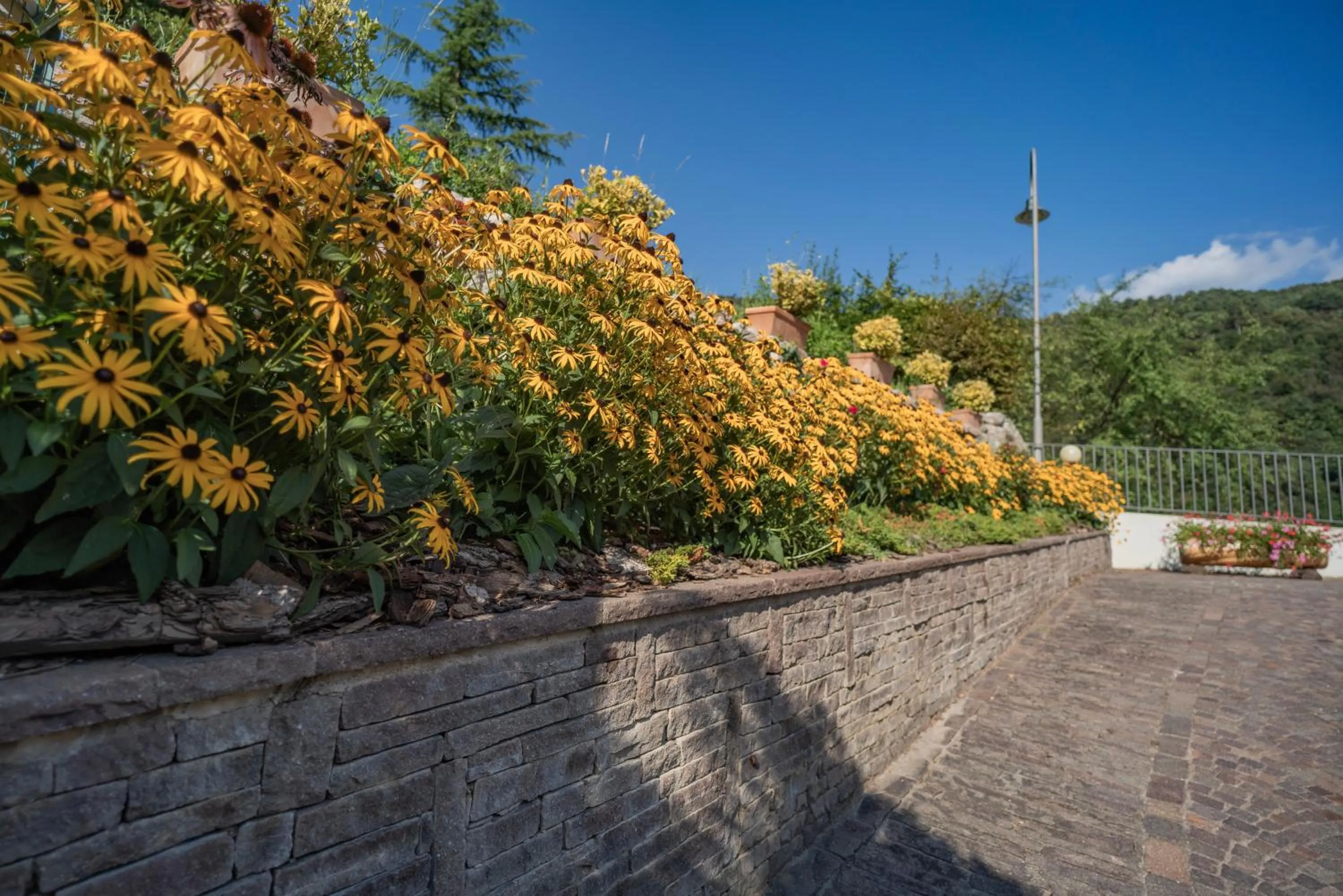 Property building in B&B Nonno Carlo