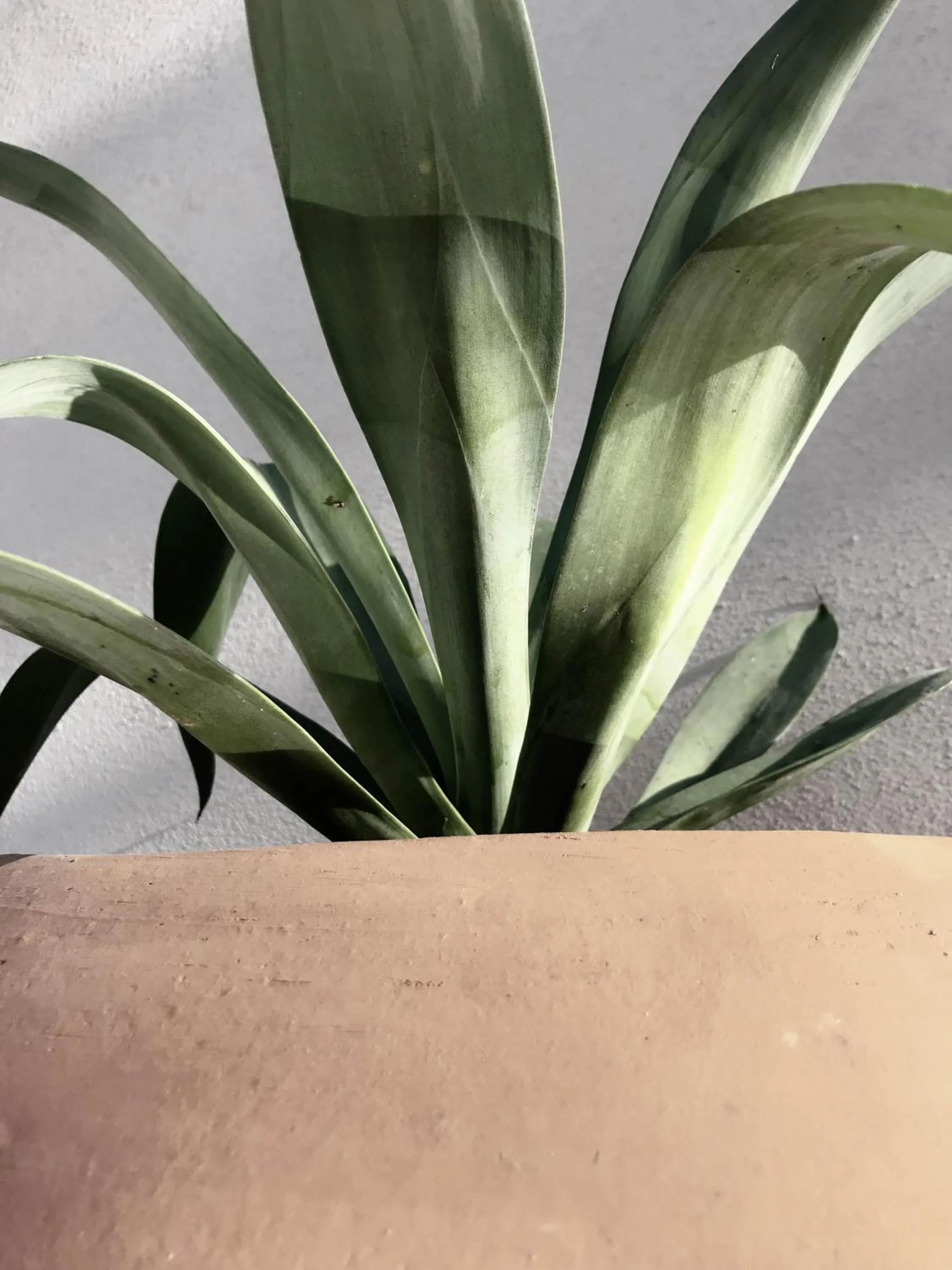 Decorative detail in SIX TWO FOUR Urban Beach Hotel