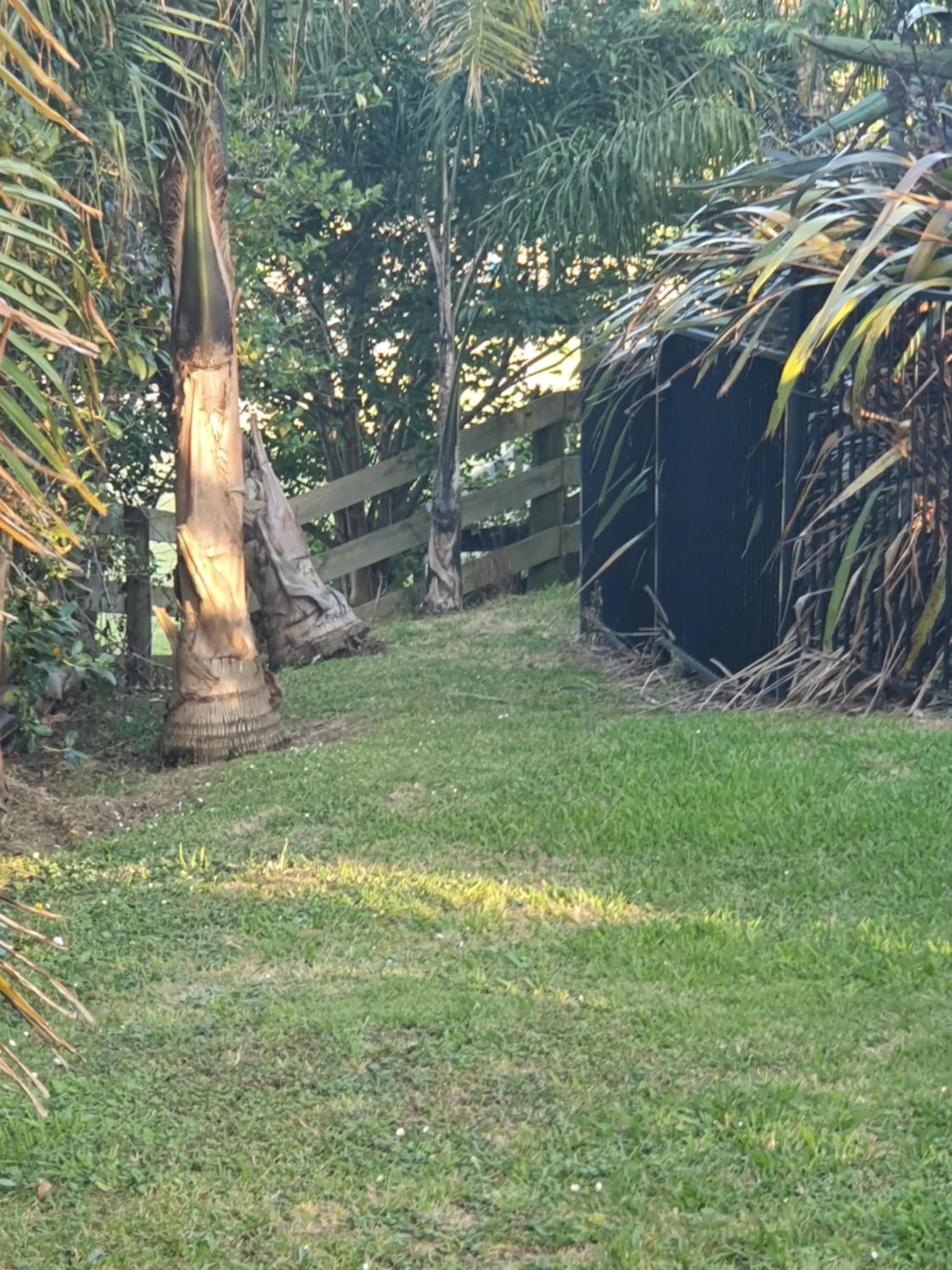 Garden in Koromatua Homestead