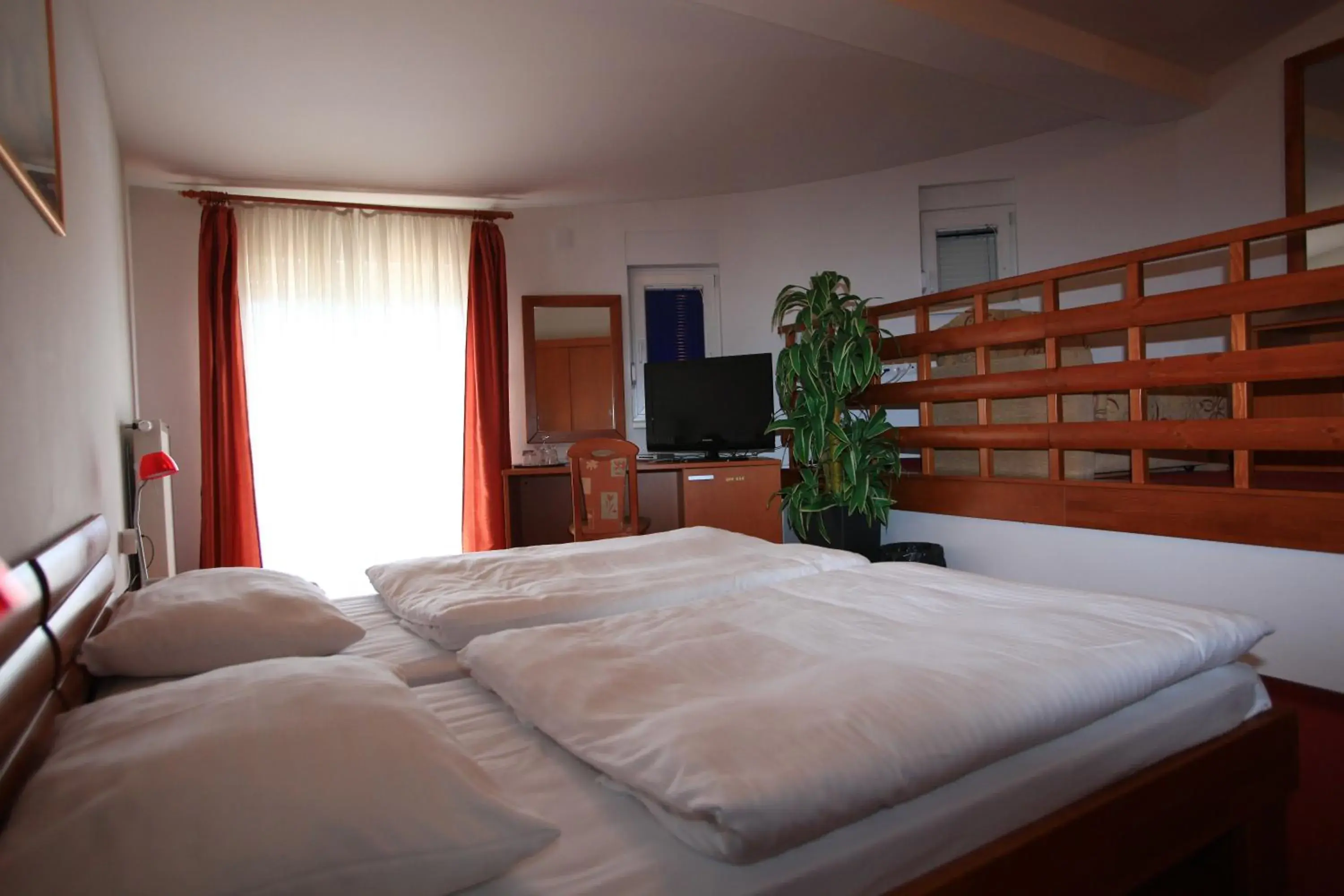 Double Room in Hotel Orion Double Room in Hotel Orion