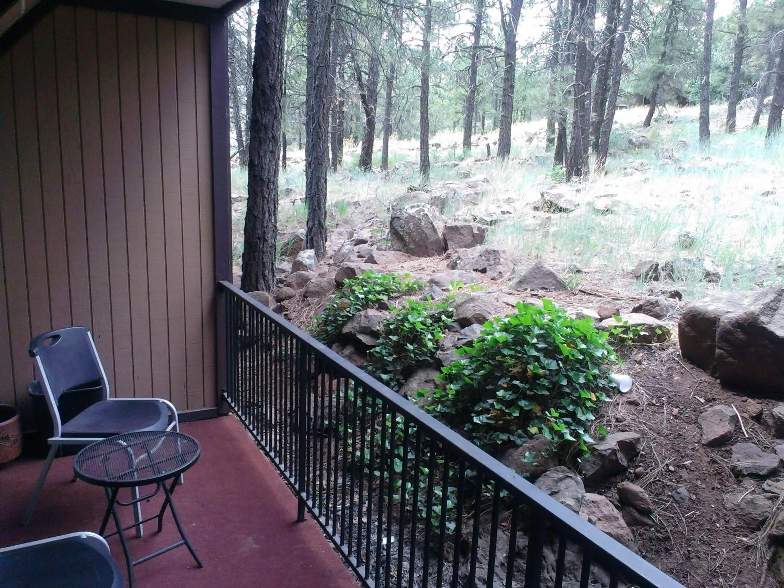 Balcony/Terrace in Motel In The Pines