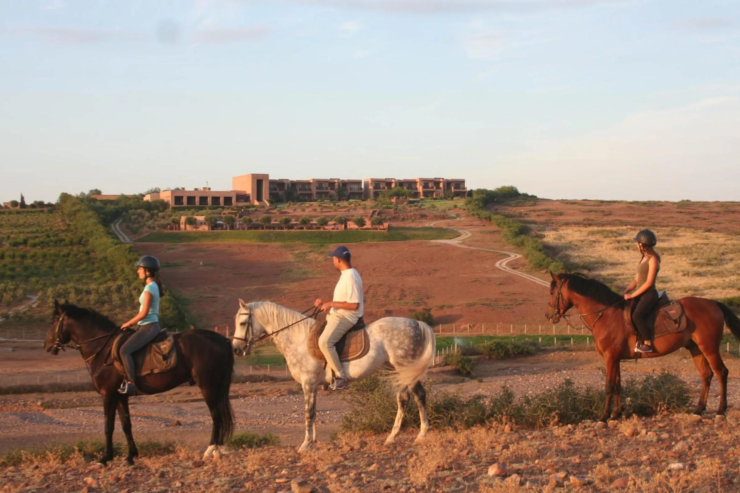 Horse-riding in Le Palais Paysan
