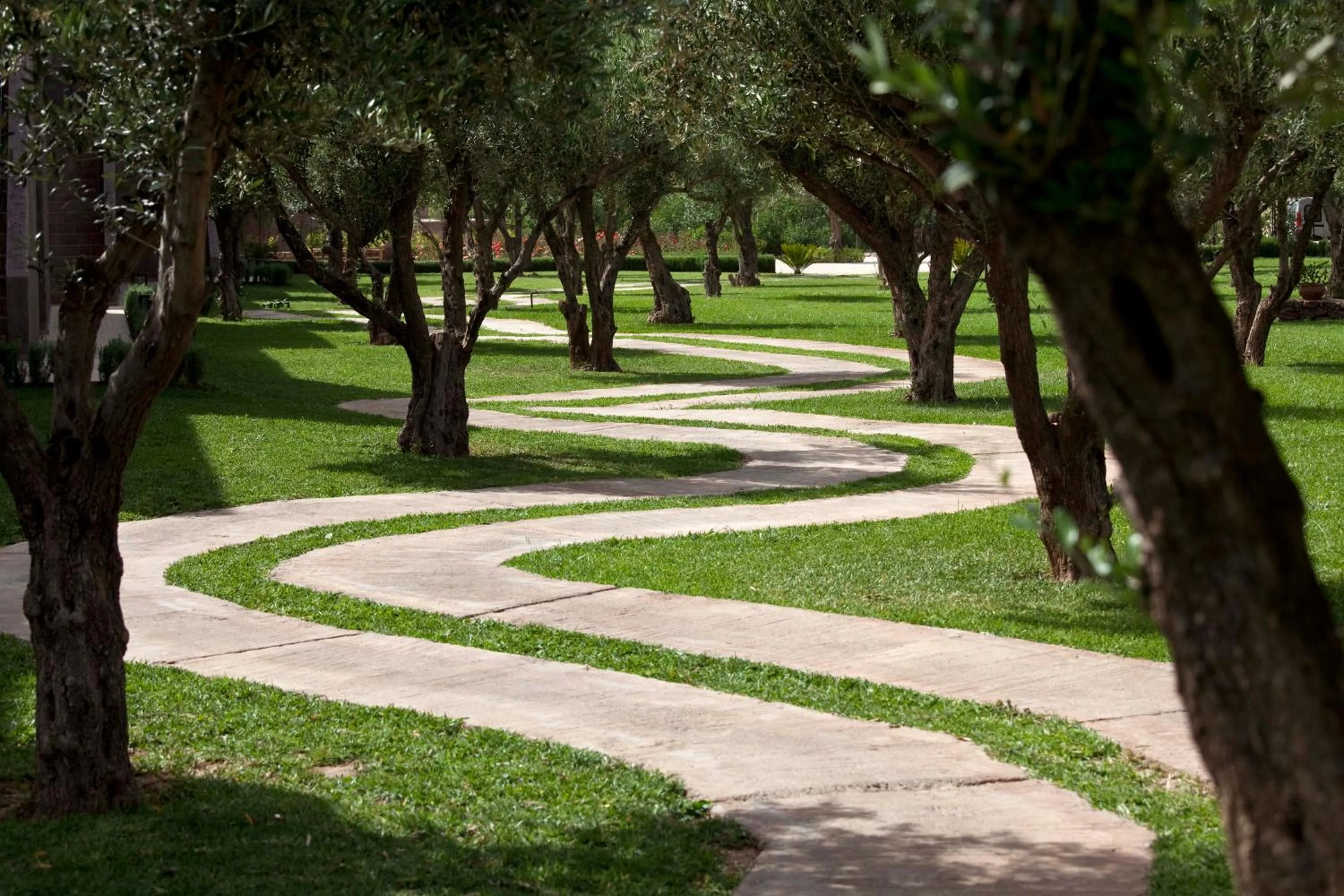 Garden in Le Palais Paysan