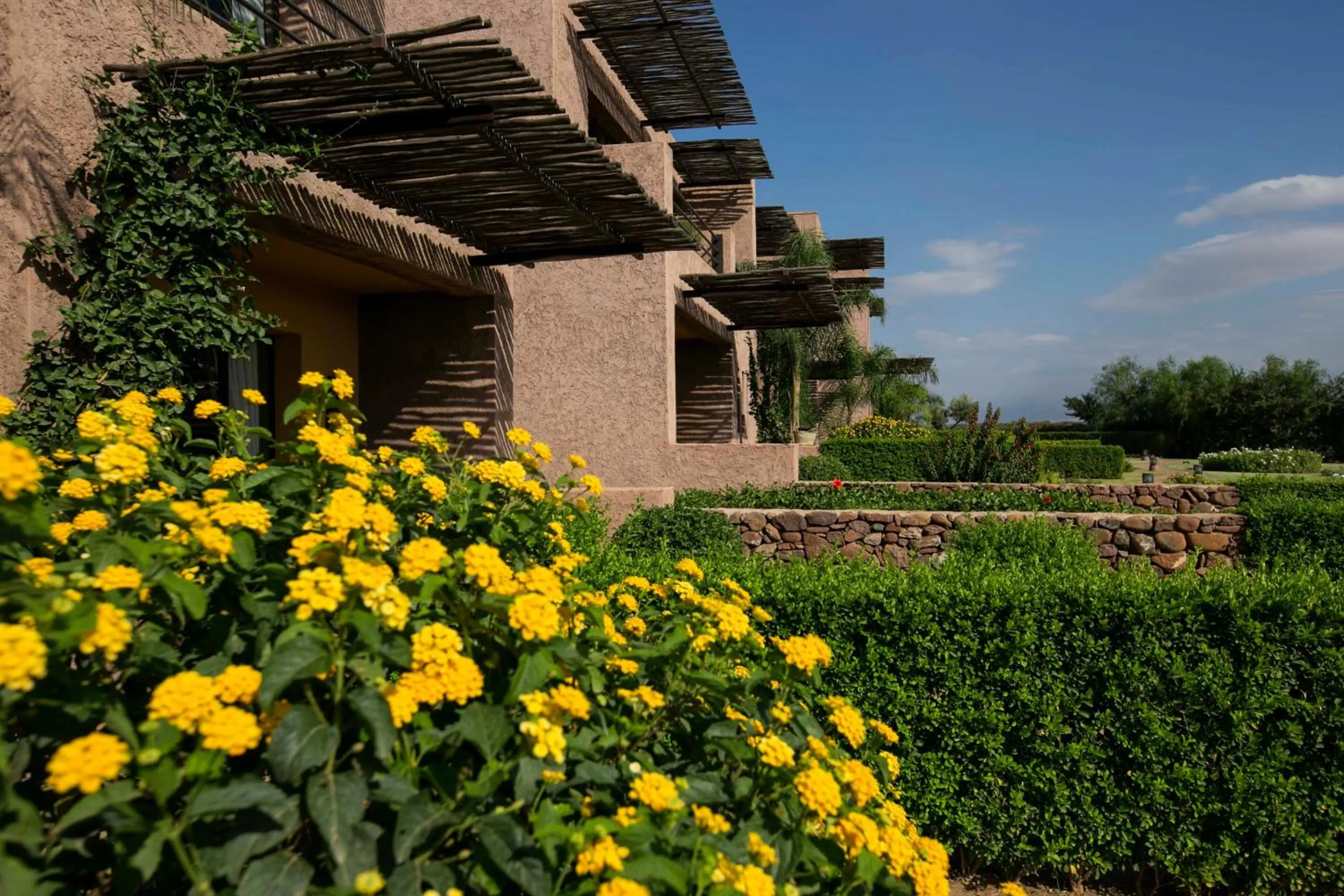 Garden view in Le Palais Paysan