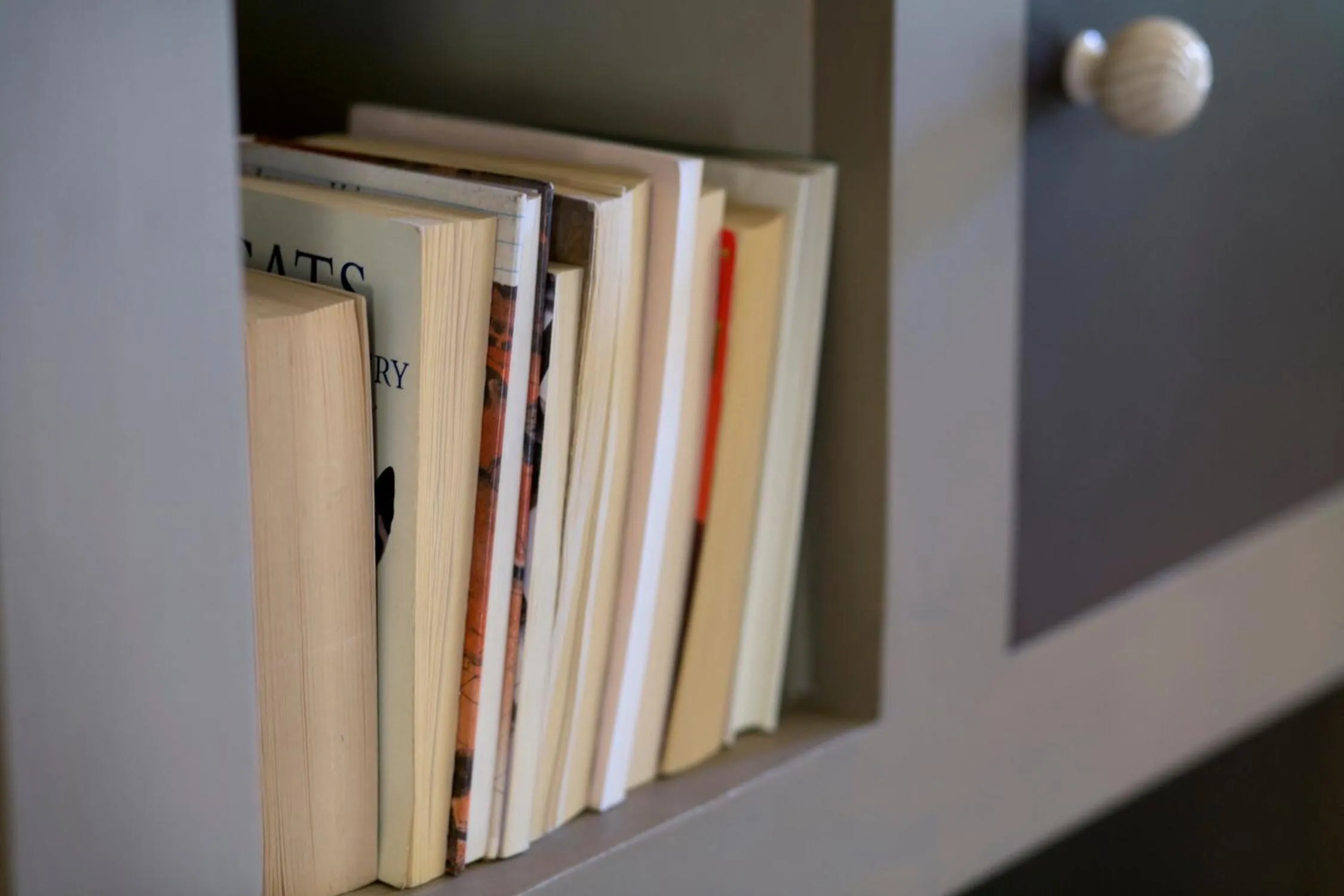 Library in Le Palais Paysan