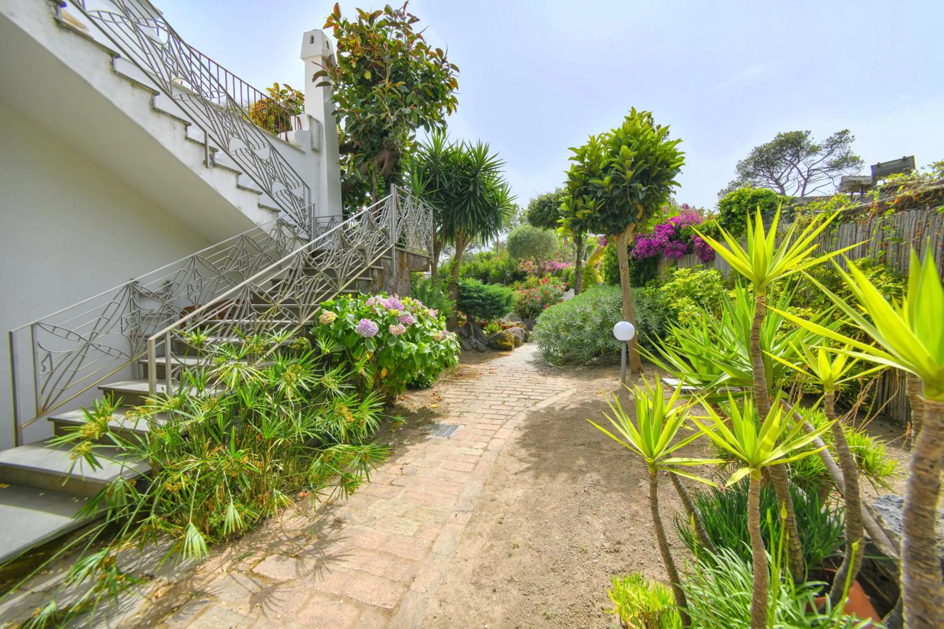 Garden view in Hotel Pineta