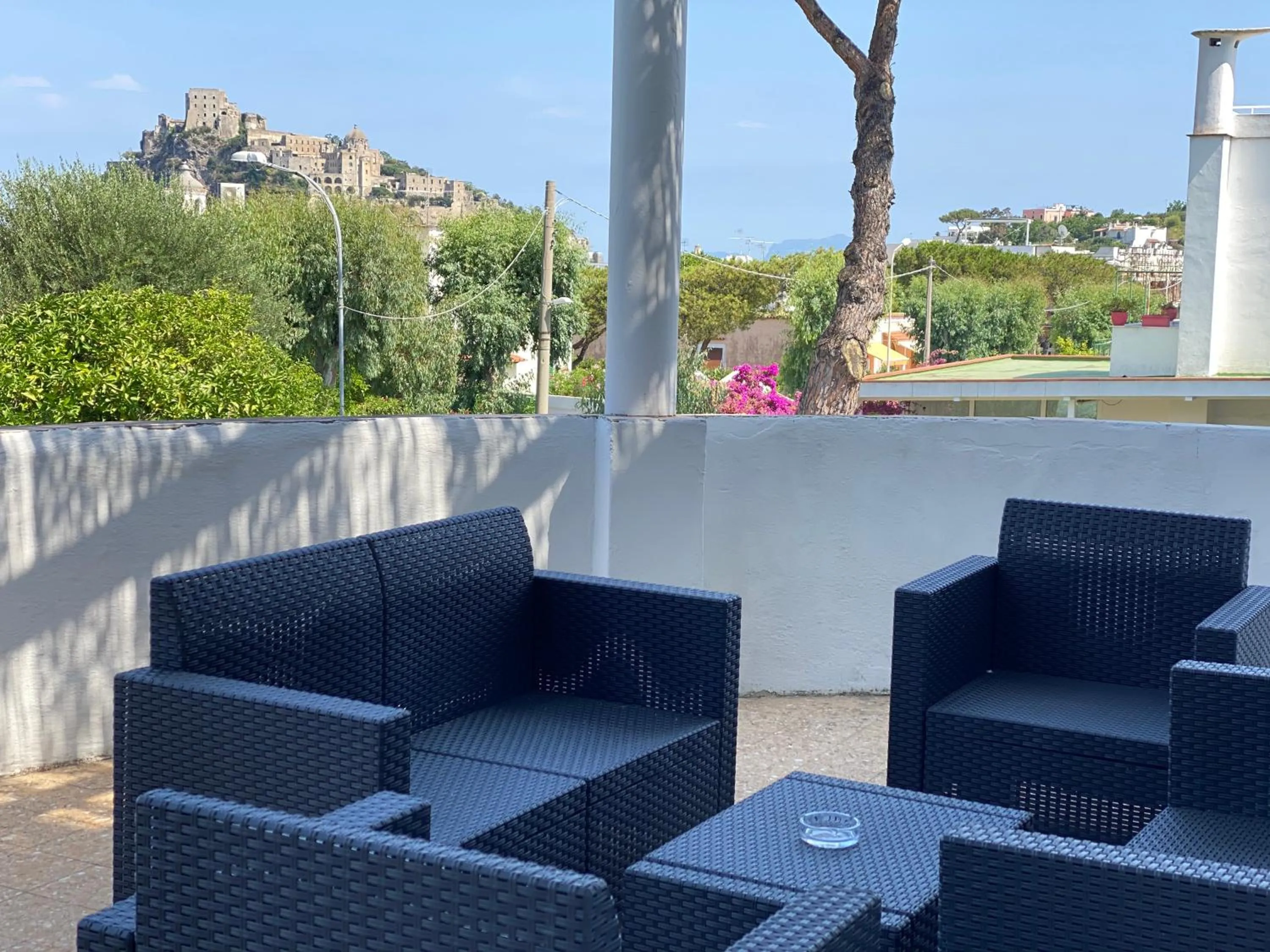 Balcony/Terrace in Hotel Pineta