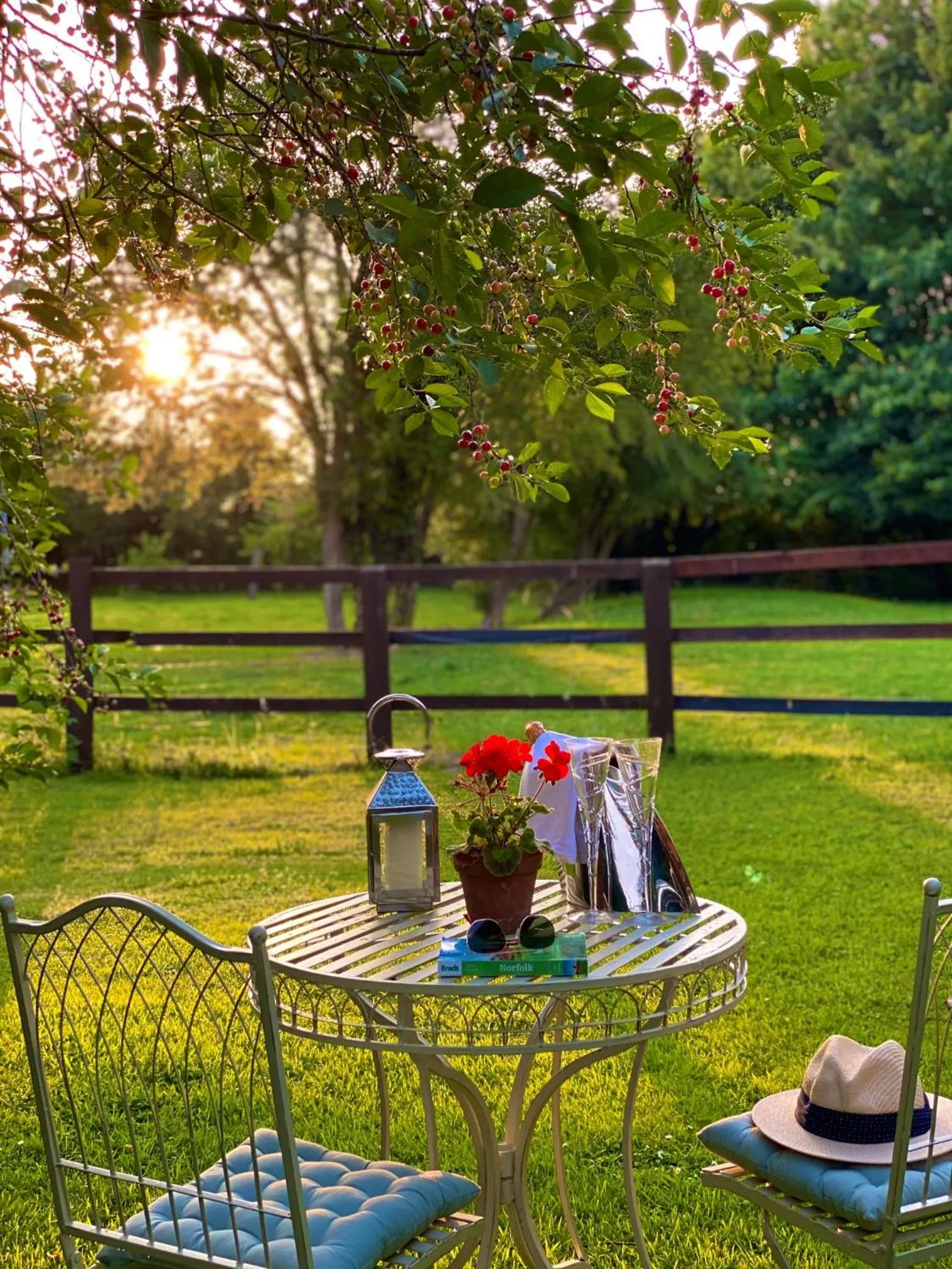 Garden in Old Hall Country Breaks
