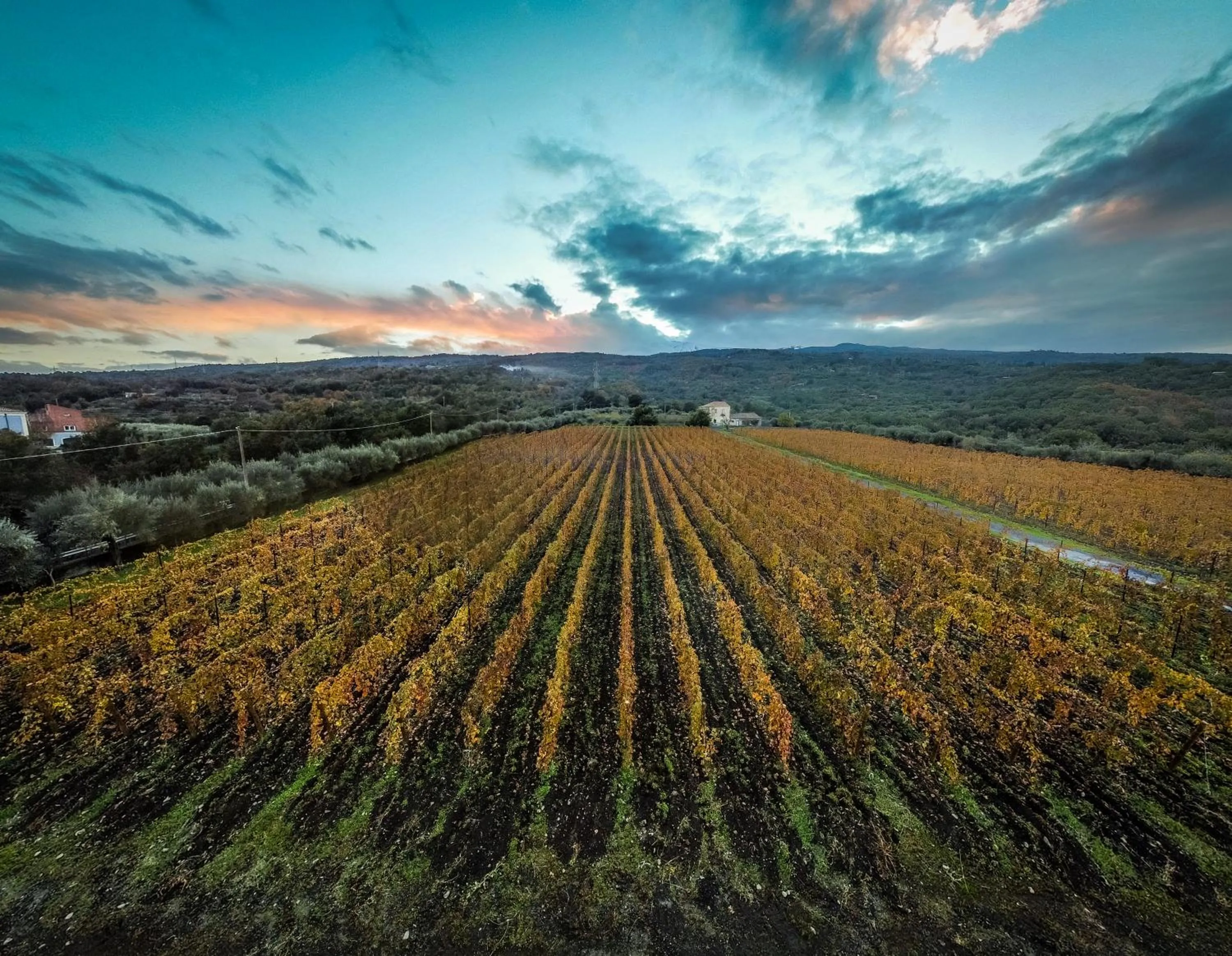 Natural landscape in Casa Arrigo