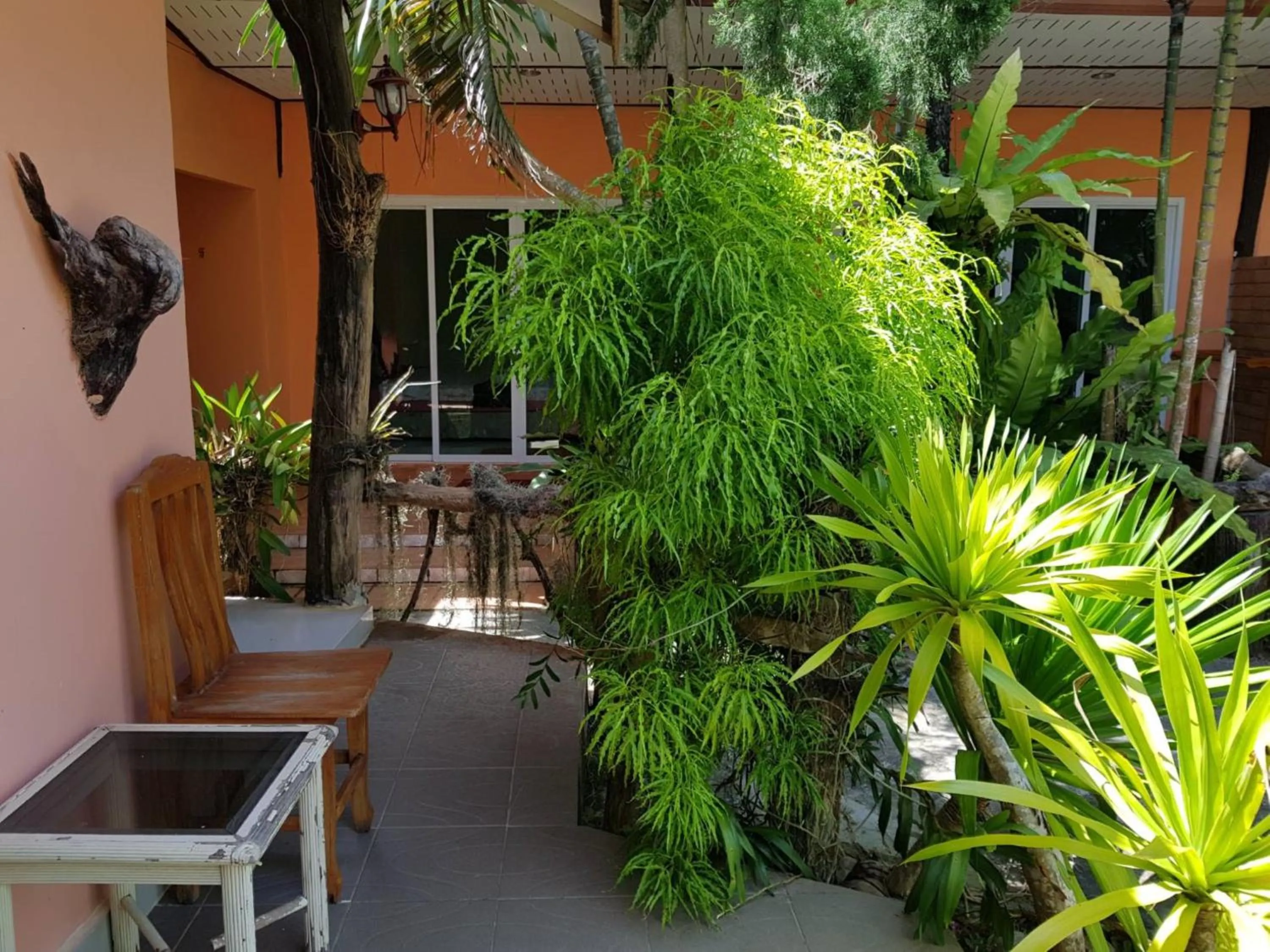 Garden in Discovery House Hotel SHA Plus