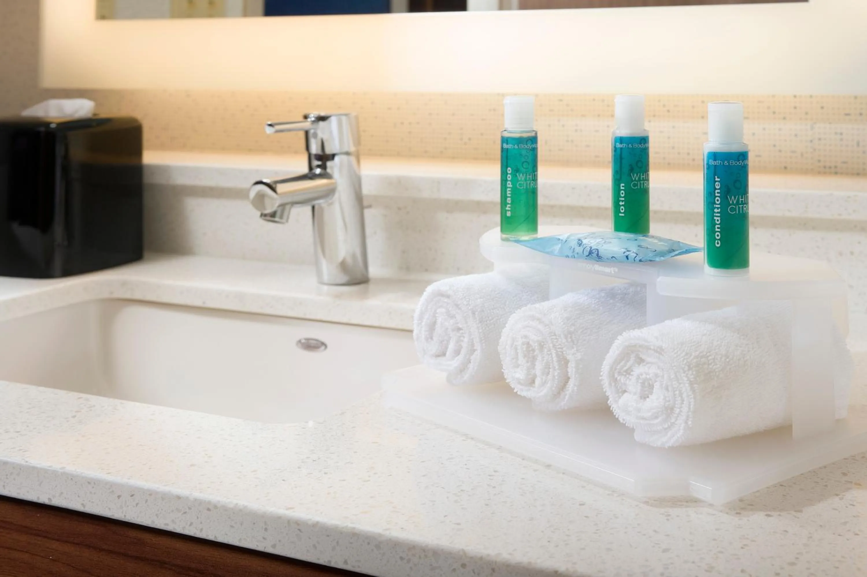 Bathroom in Holiday Inn Express & Suites College Park - University Area by IHG