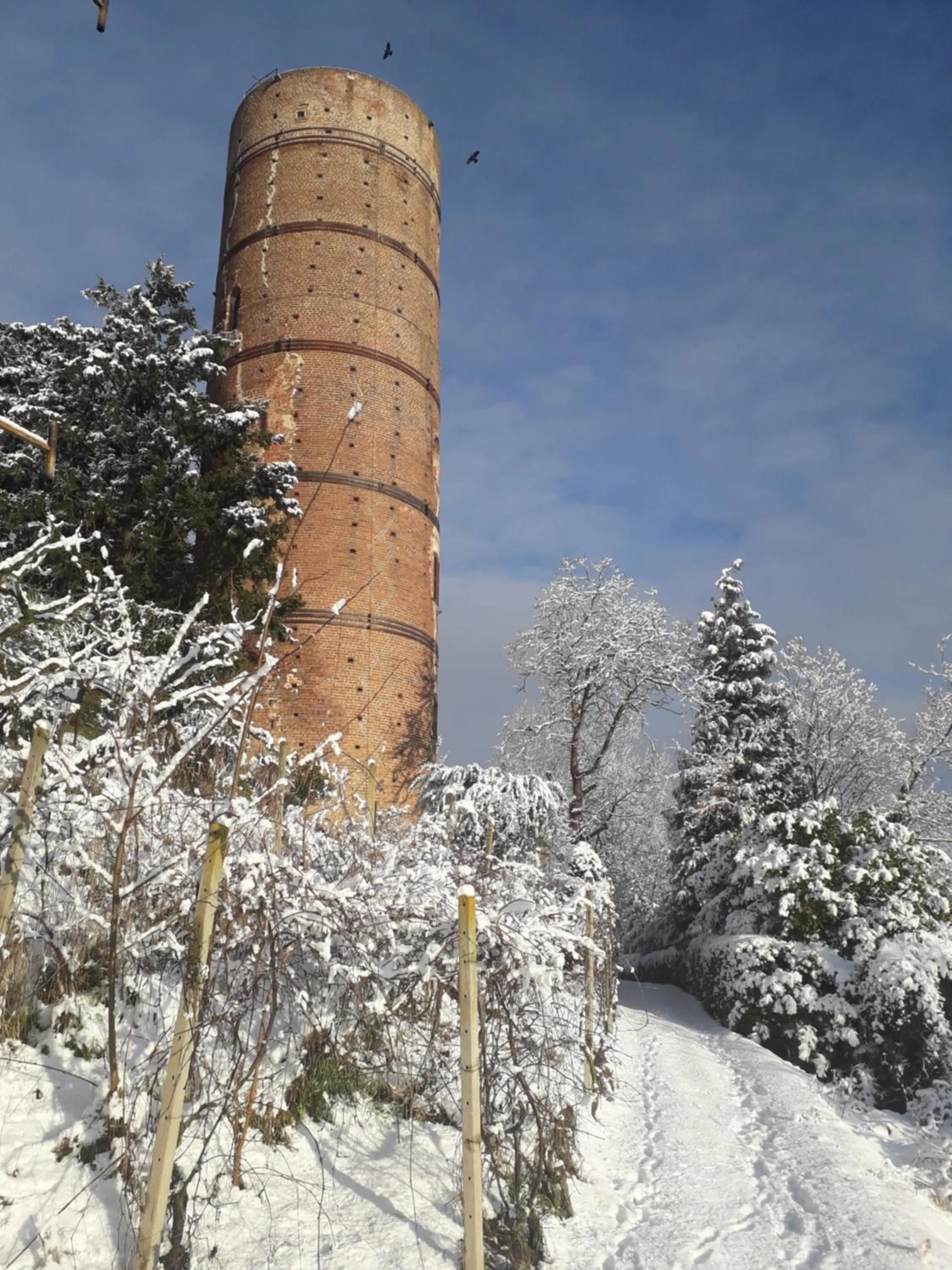 Property building in PocoBurro Ca' d'arte