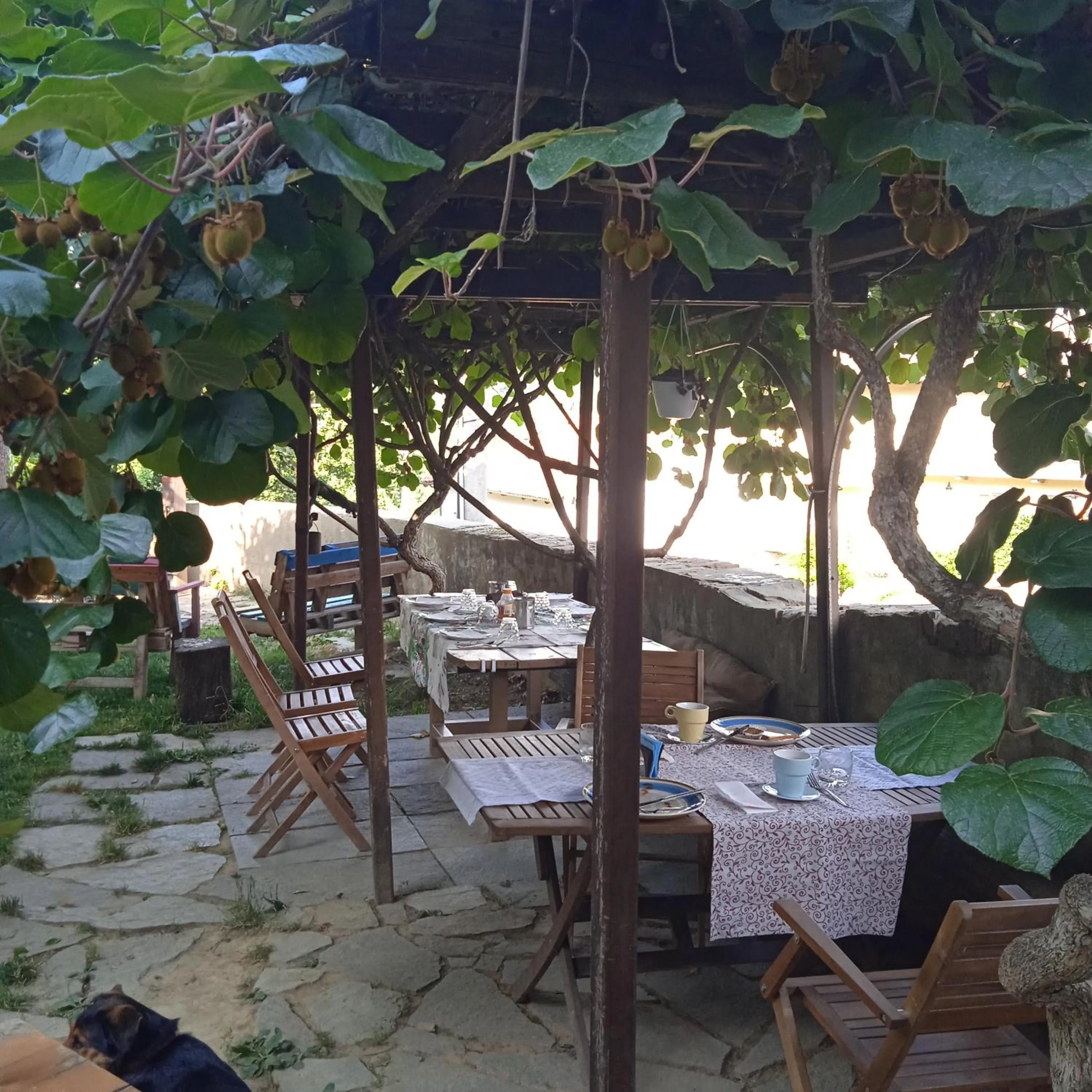 Summer in PocoBurro Ca' d'arte