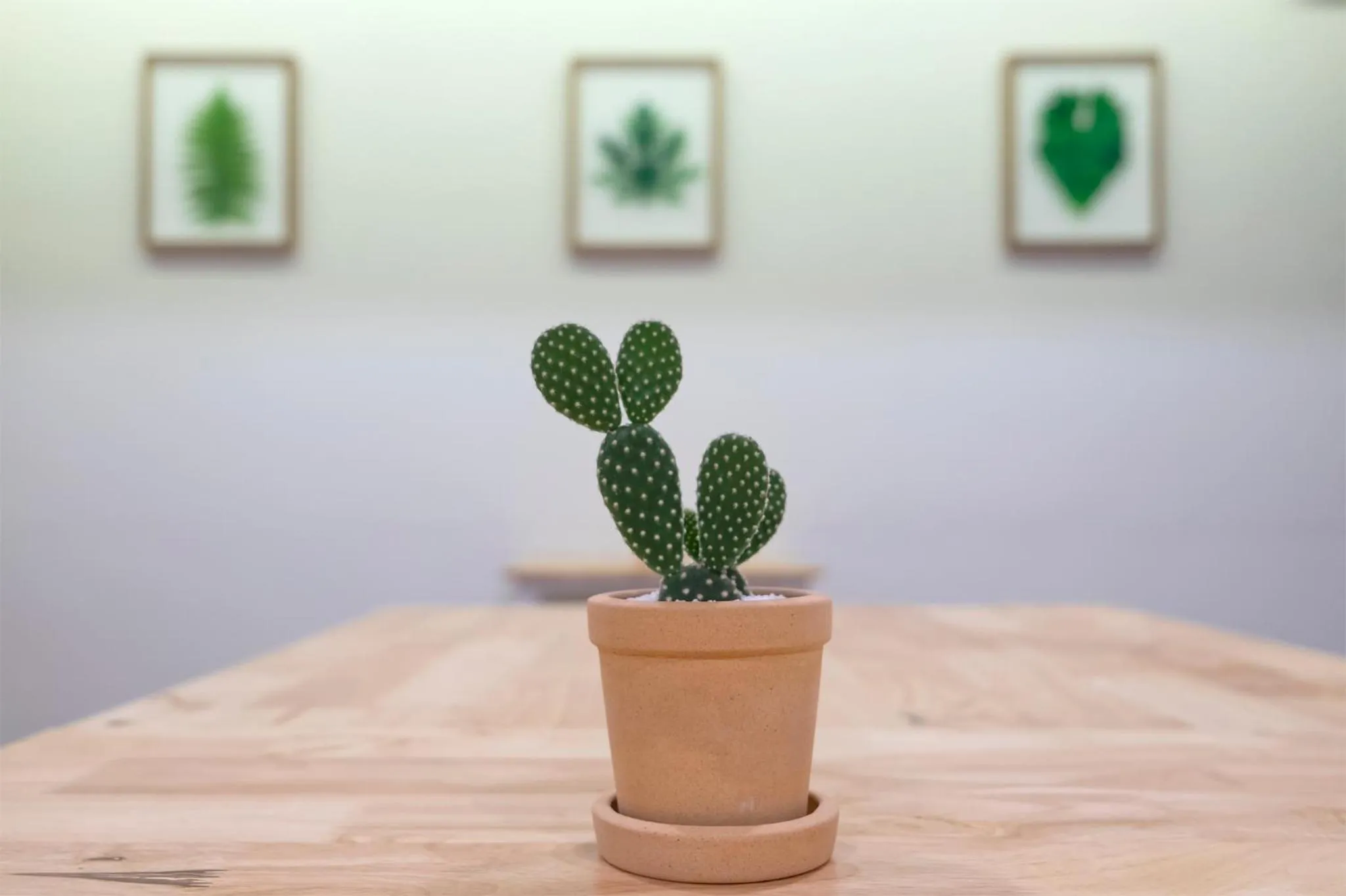 Decorative detail in BED Friends Poshtel