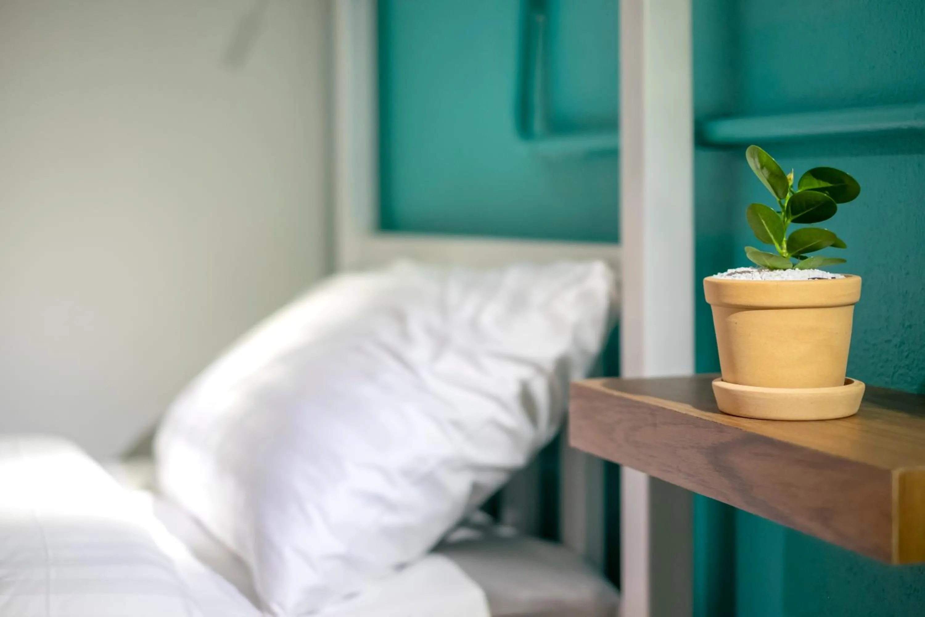 bunk bed, Bed in BED Friends Poshtel