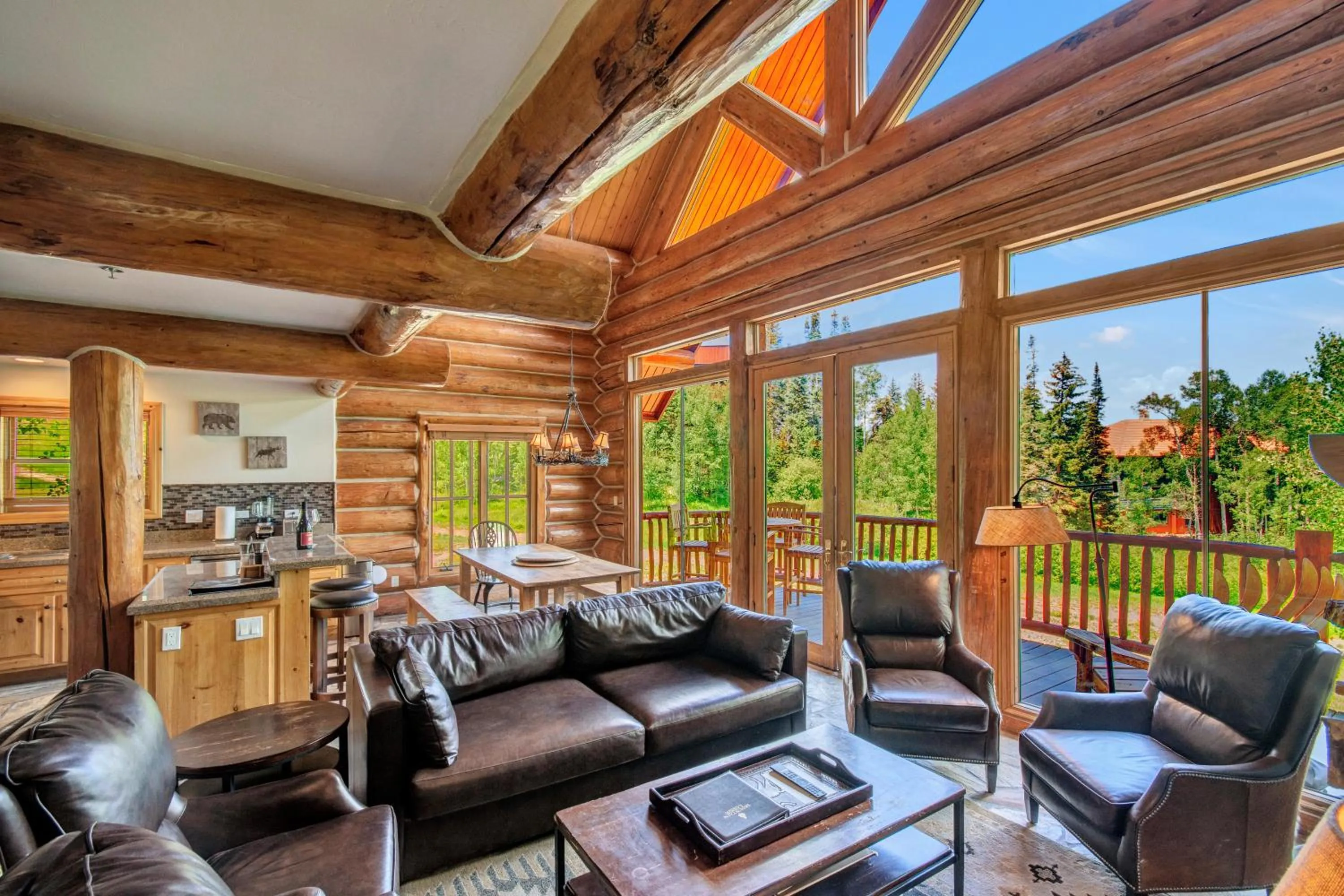 Mountain Lodge Telluride